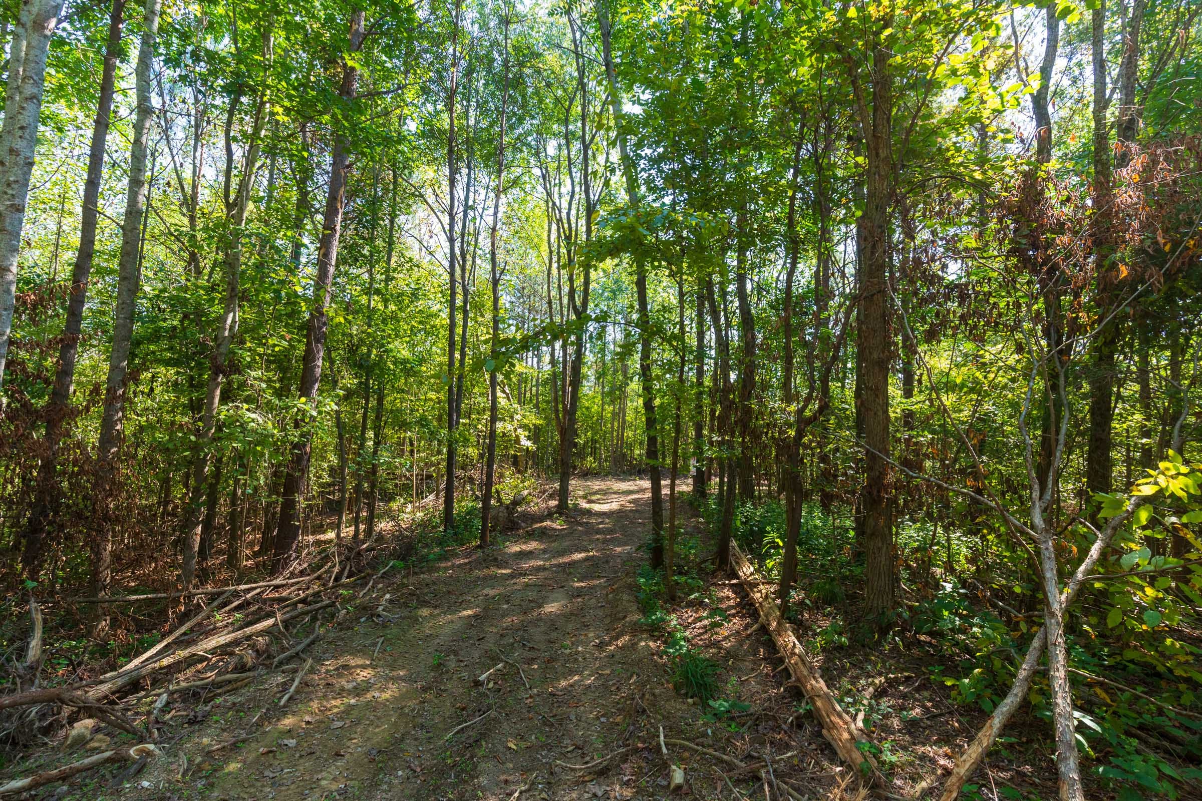Redemption Ridge Tract 12 photo 5
