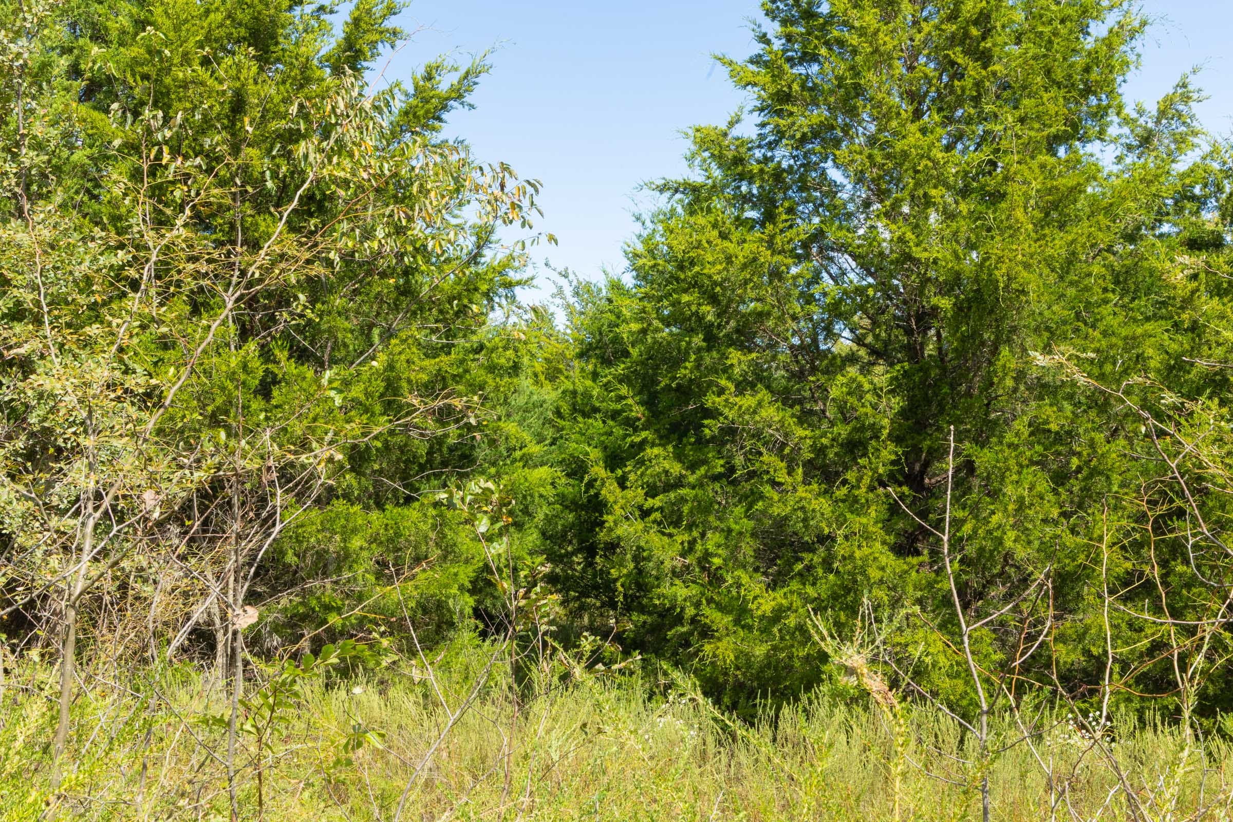 Reserves At Cattail Cove Phase II Tract 63 photo 8