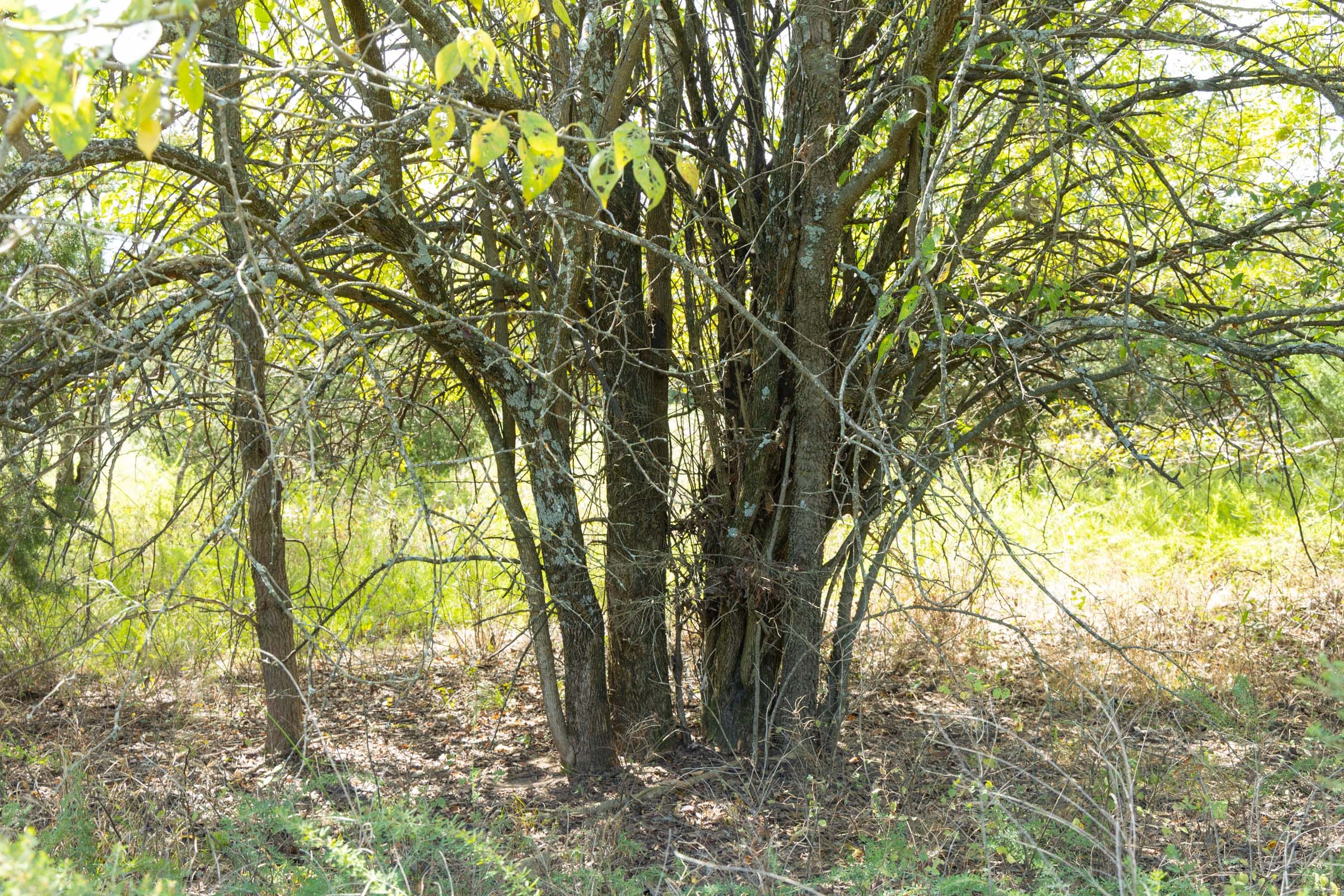 Reserves At Cattail Cove Phase II Tract 63 photo 11