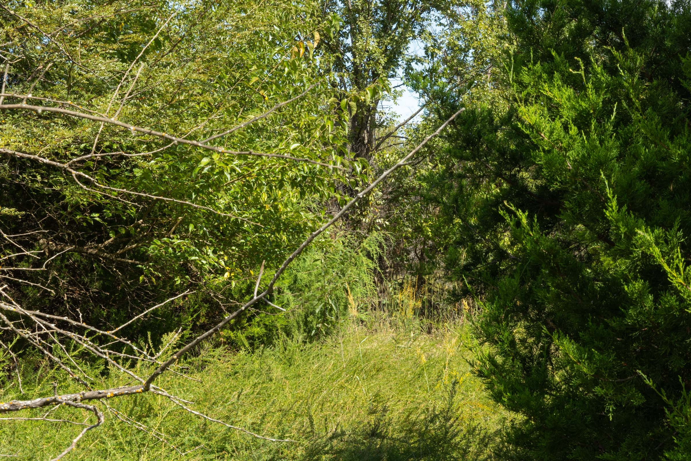 Reserves At Cattail Cove Phase II Tract 63 photo 10
