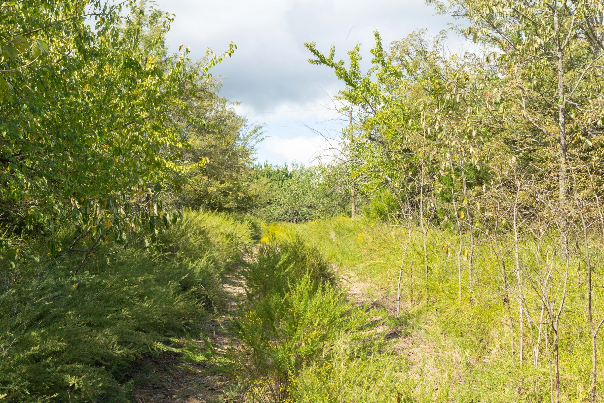 Reserves At Cattail Cove Phase II Tract 63 photo 7