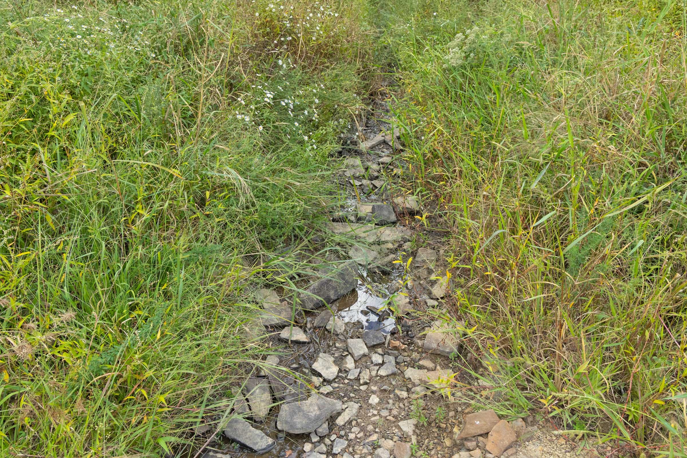 Reserves At Cattail Cove Phase II Tract 75 photo 12