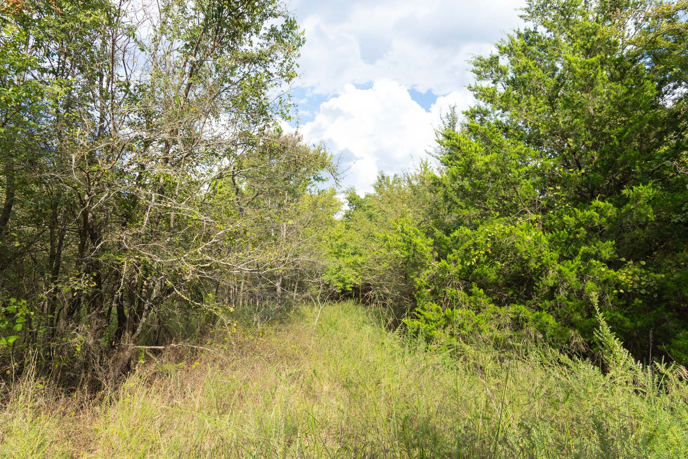 Reserves At Cattail Cove Phase II Tract 75 photo 10