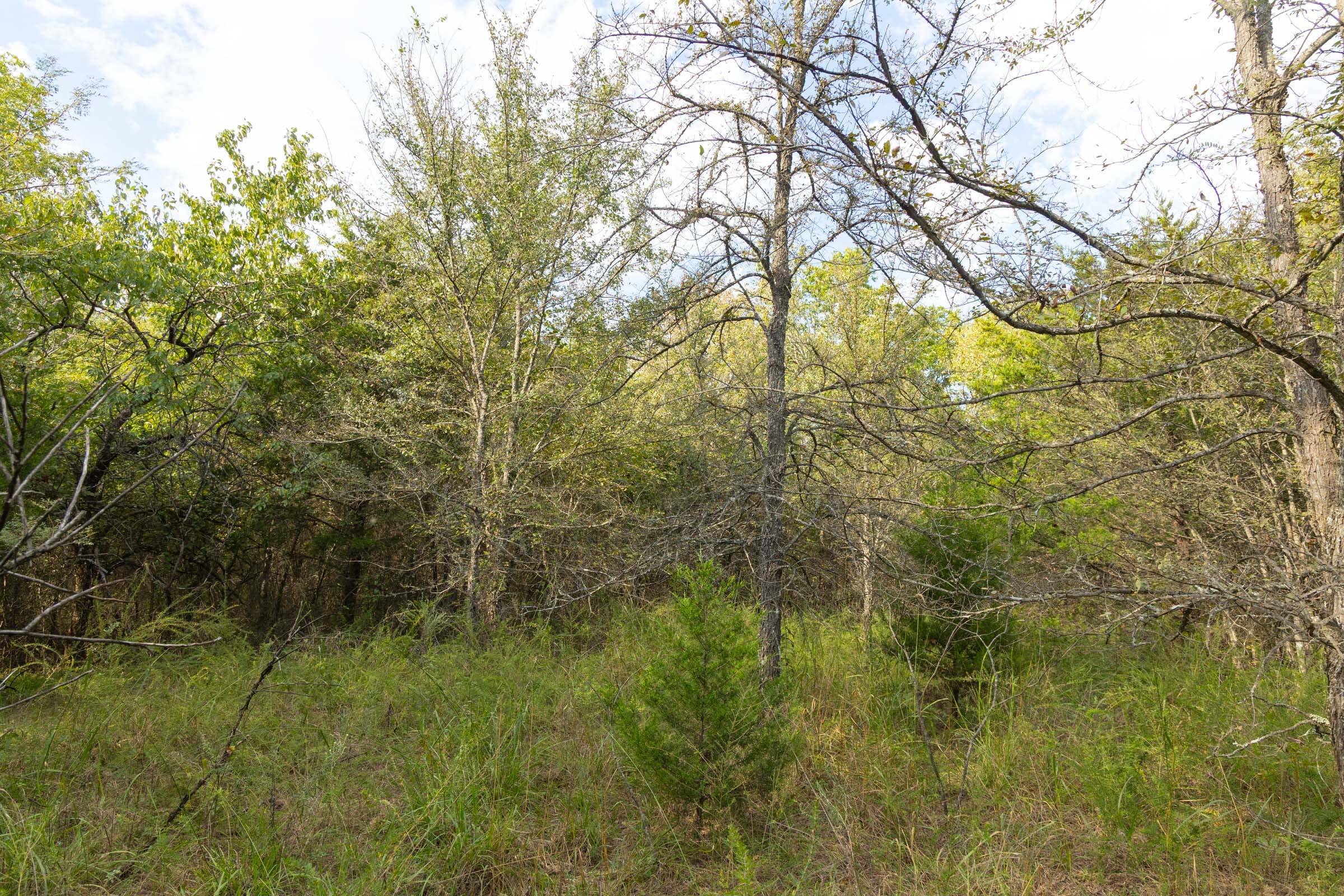 Reserves At Cattail Cove Phase II Tract 75 photo 8