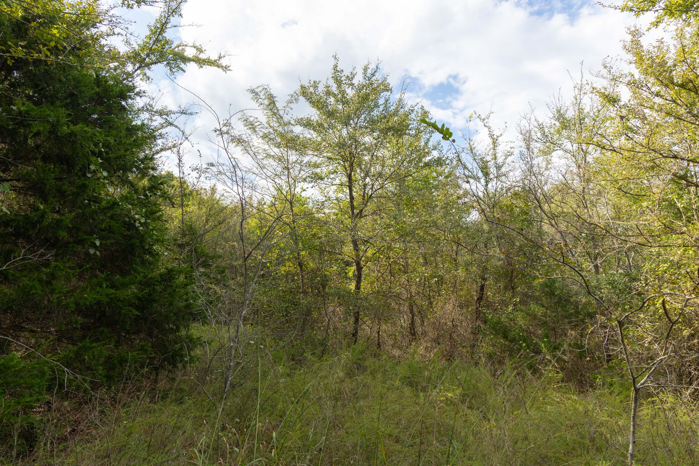 Reserves At Cattail Cove Phase II Tract 75 photo 7