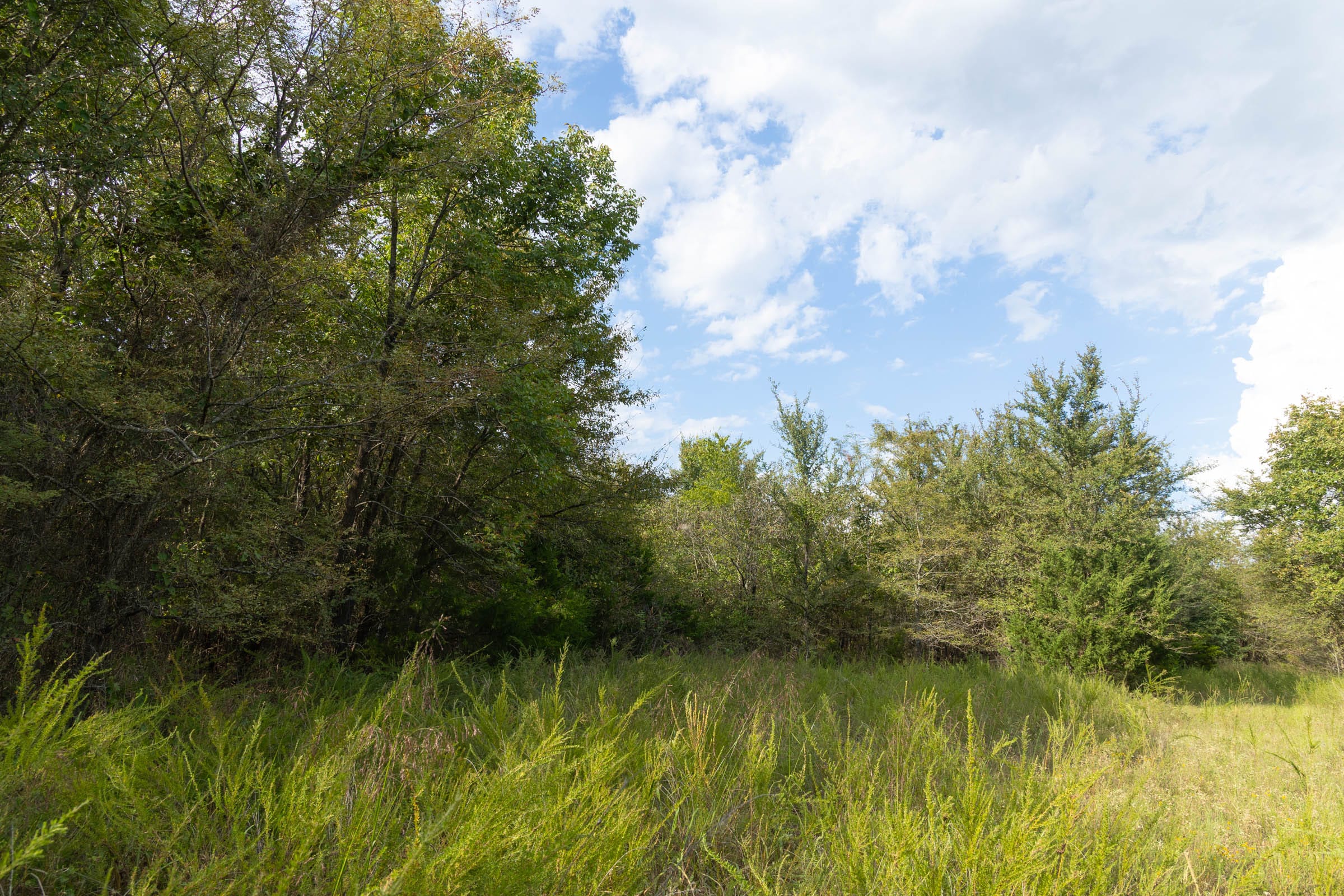 Reserves At Cattail Cove Phase II Tract 75 photo 6