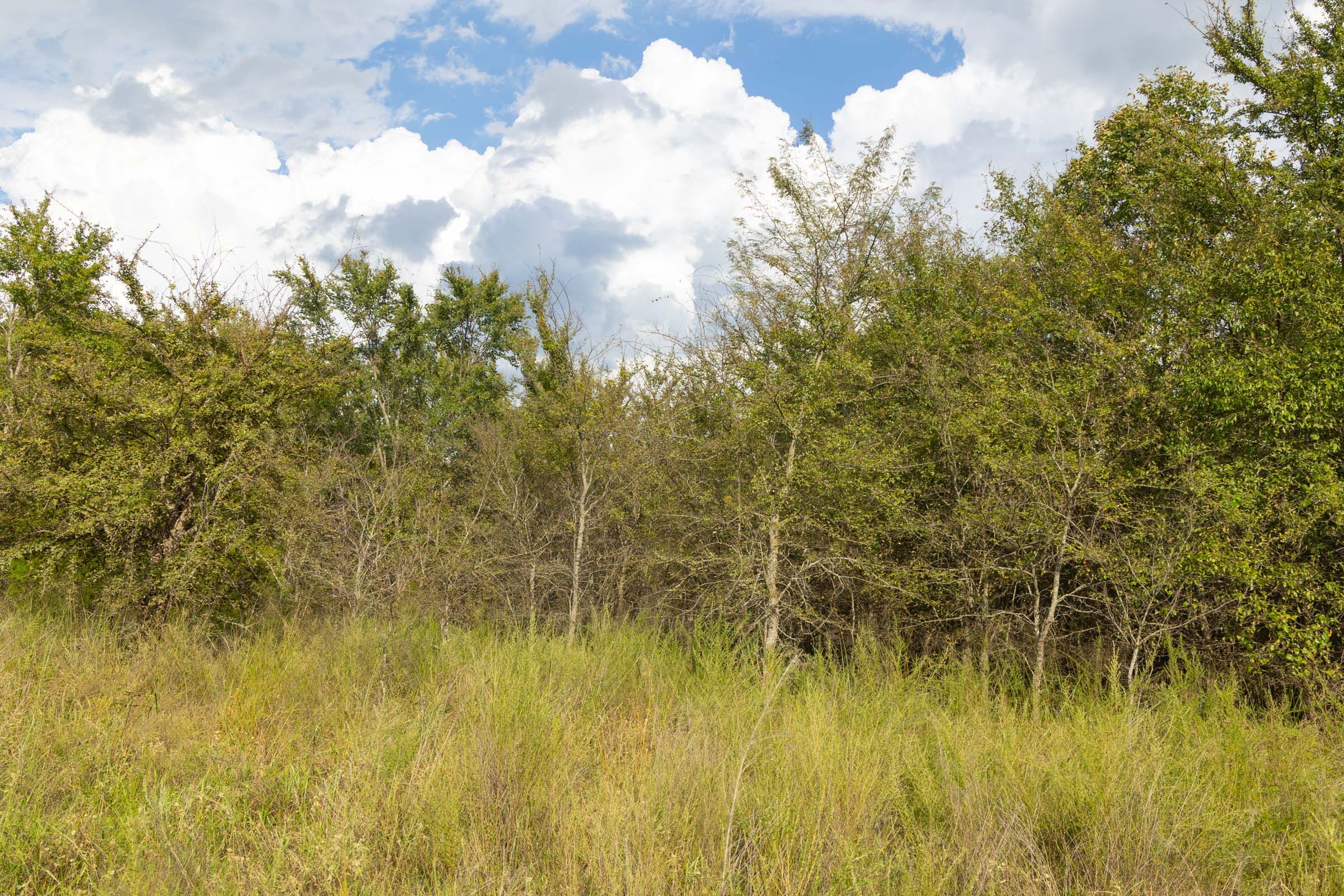Reserves At Cattail Cove Phase II Tract 75 photo 5