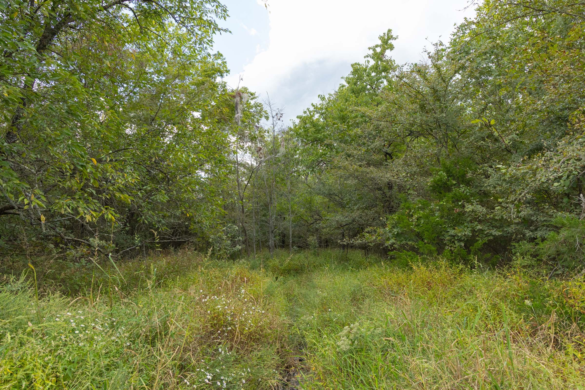 Reserves At Cattail Cove Phase II Tract 75 photo 3