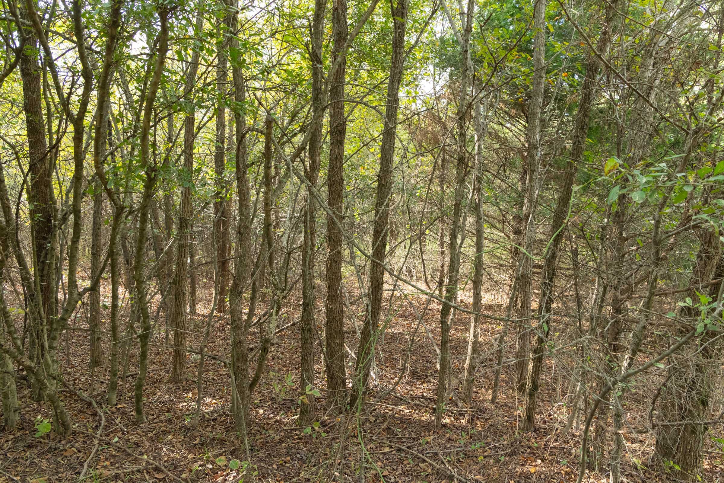 Reserves At Cattail Cove Phase II Tract 75 photo 4