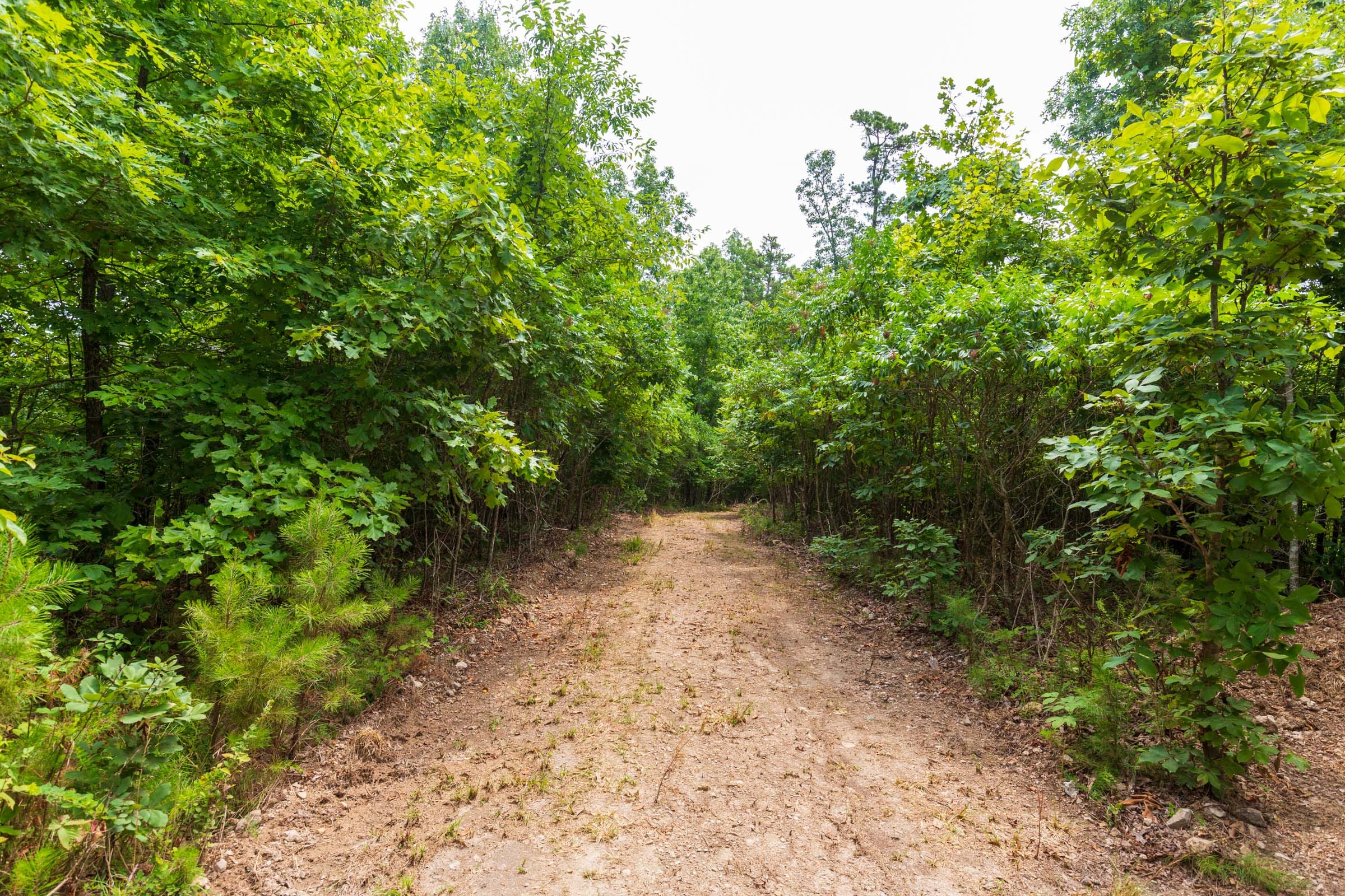 Cypress Ridge Tract 21 photo 1