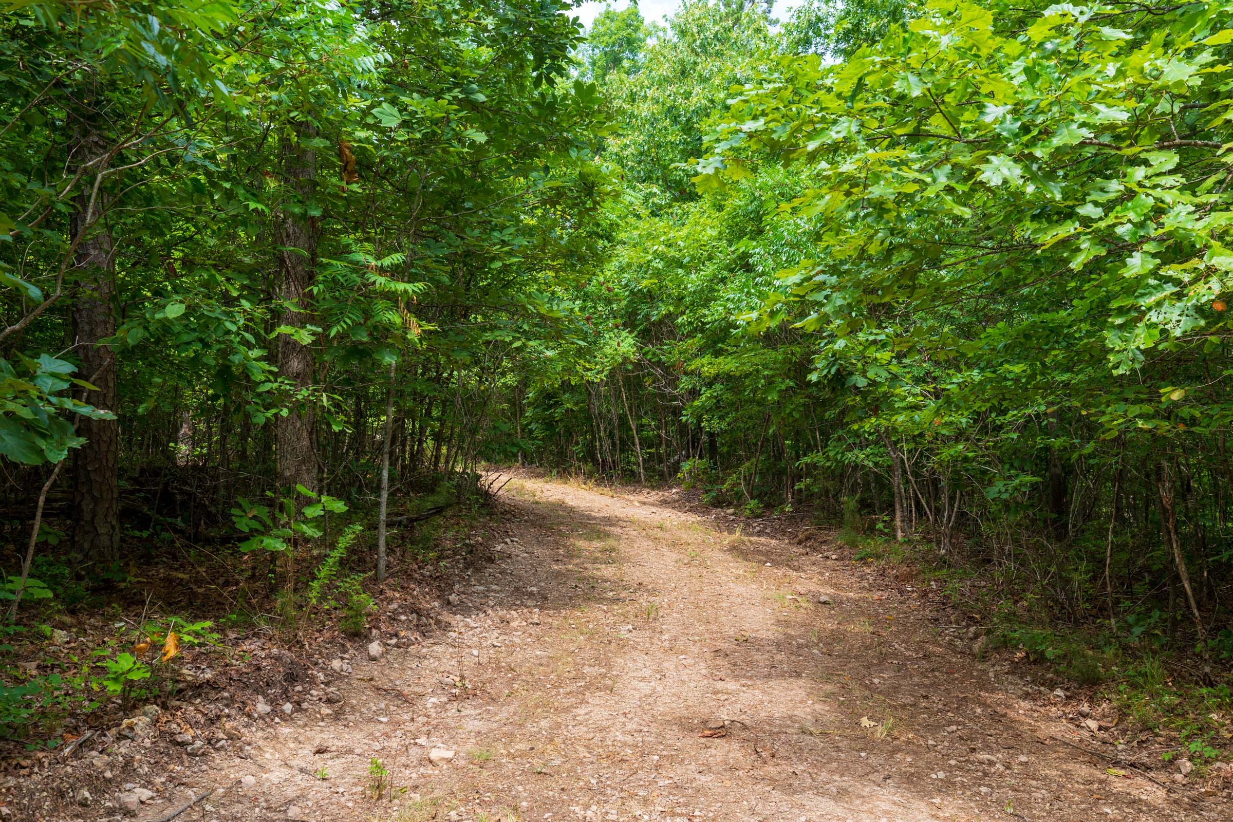 Cypress Ridge Tract 21 photo 8
