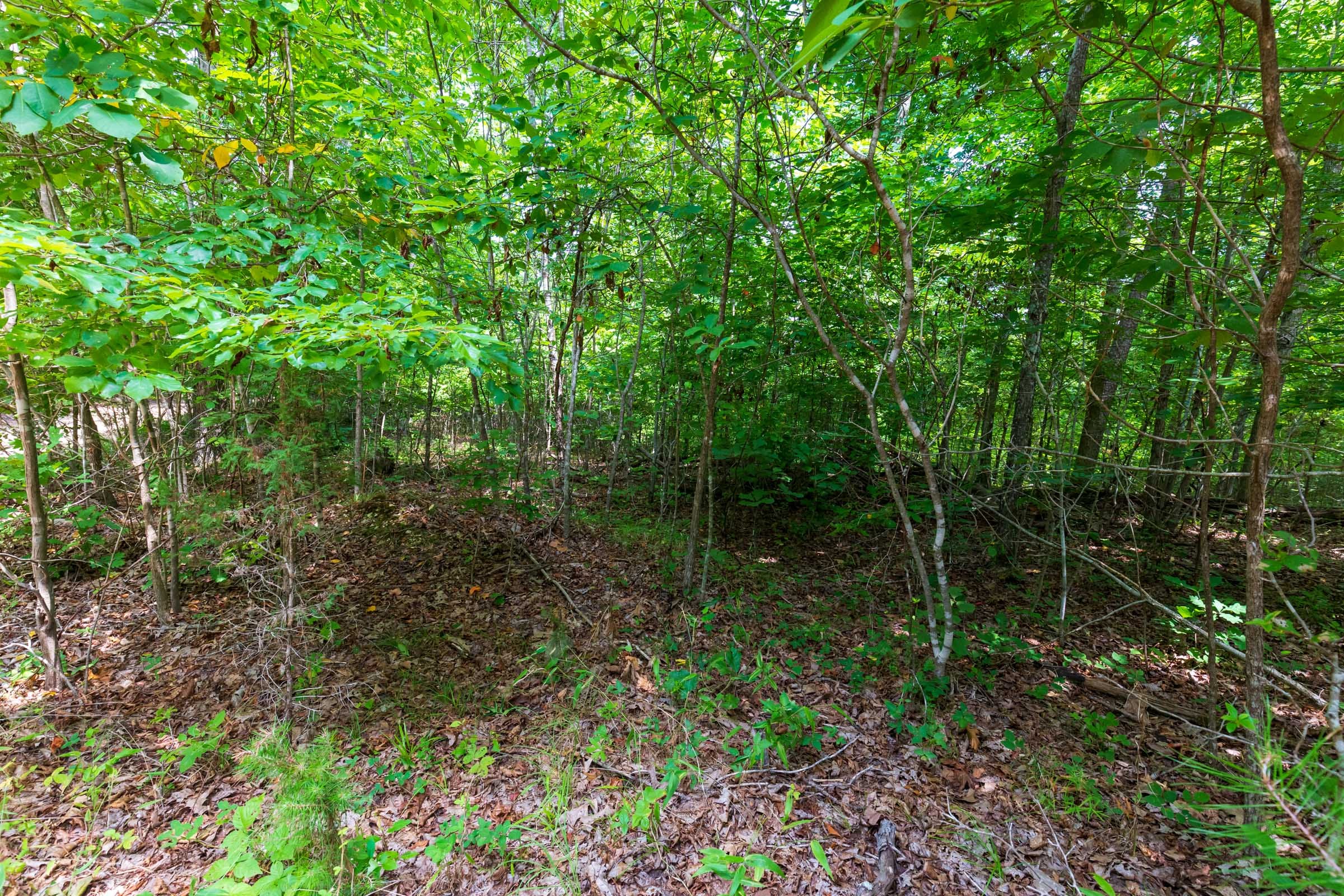 Cypress Ridge Tract 21 photo 14