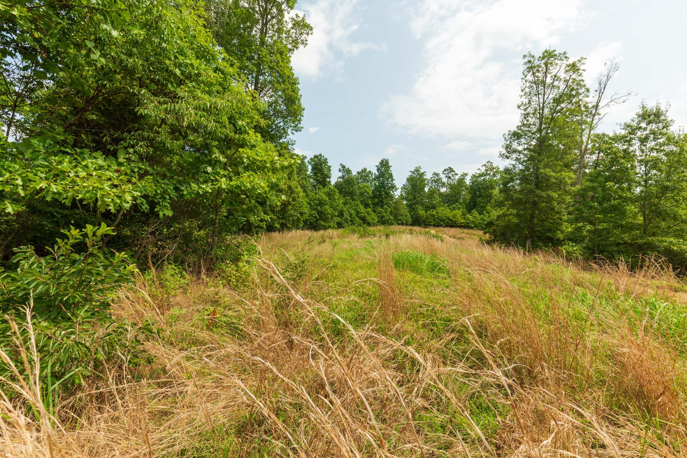Cypress Ridge Tract 21 photo 16
