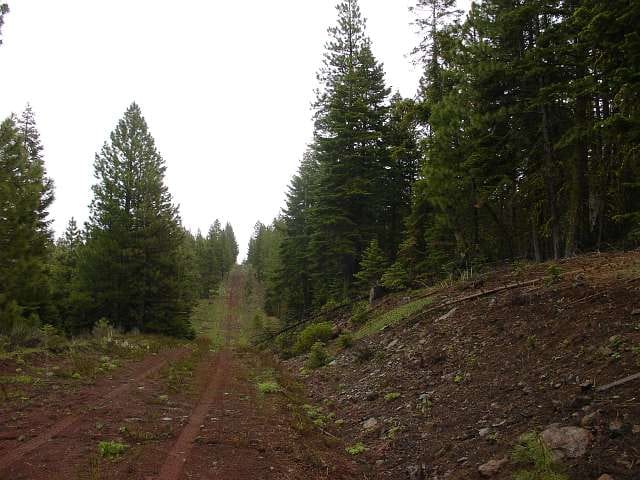 California Pines Tract 10 photo 1