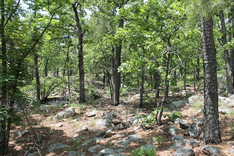 Indian Ridge – Phase II Tract 54 photo 2