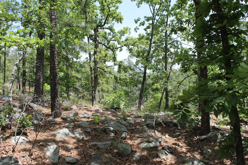 Indian Ridge – Phase II Tract 54 photo 5