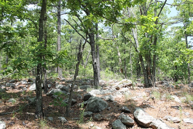Indian Ridge – Phase II Tract 54 photo 6