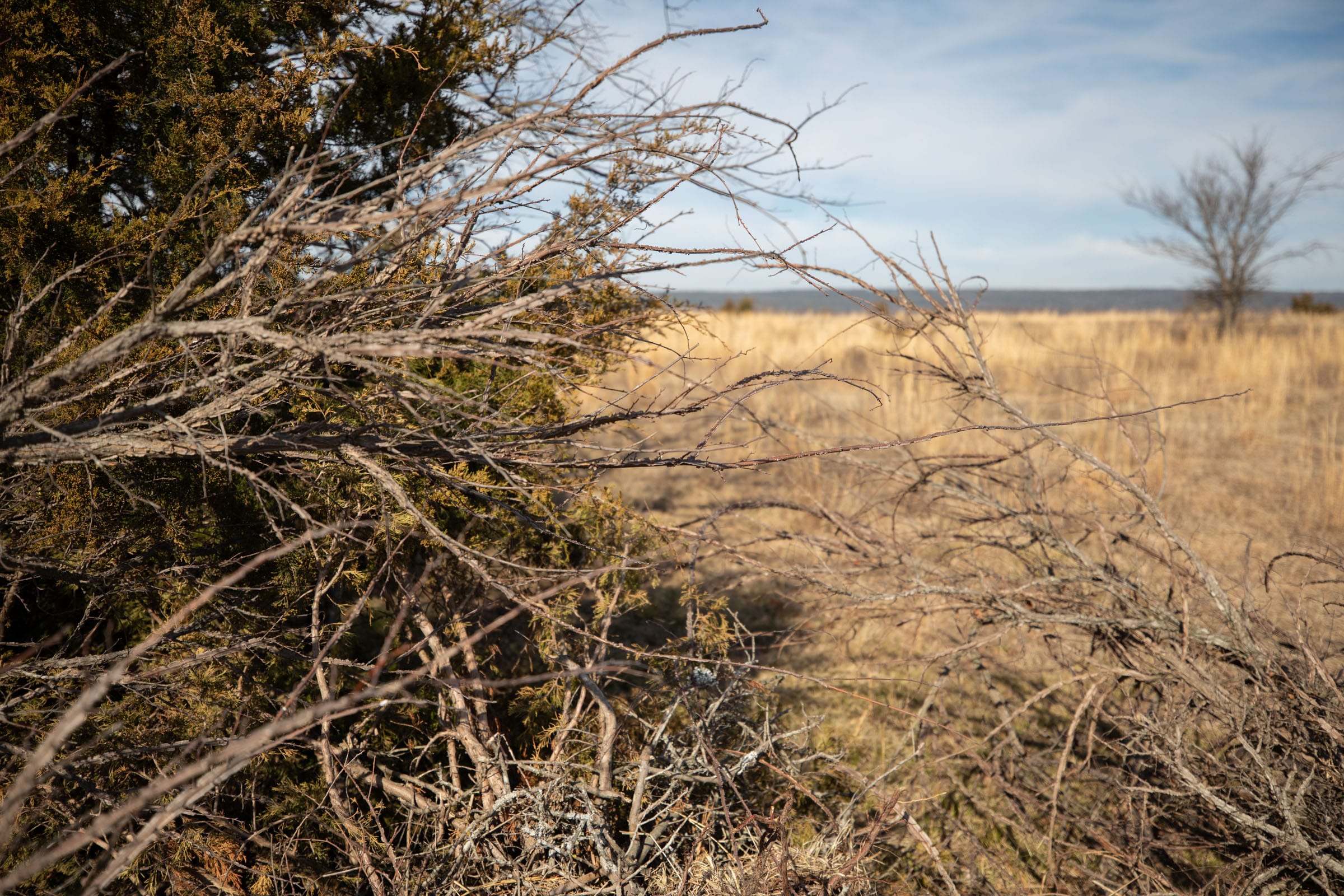 Painted Horse Tract 32 photo 4