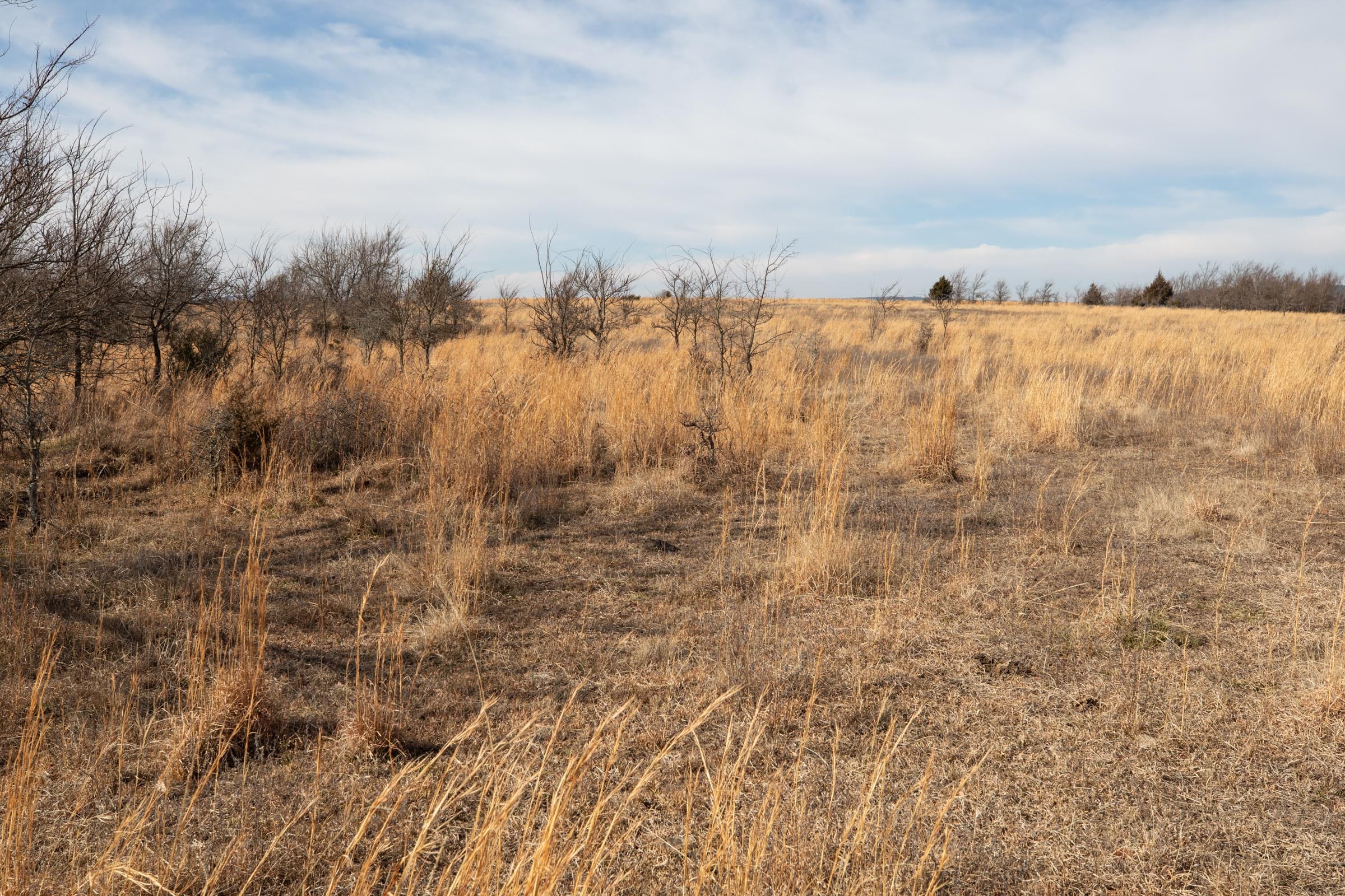 Painted Horse Tract 32 photo 6