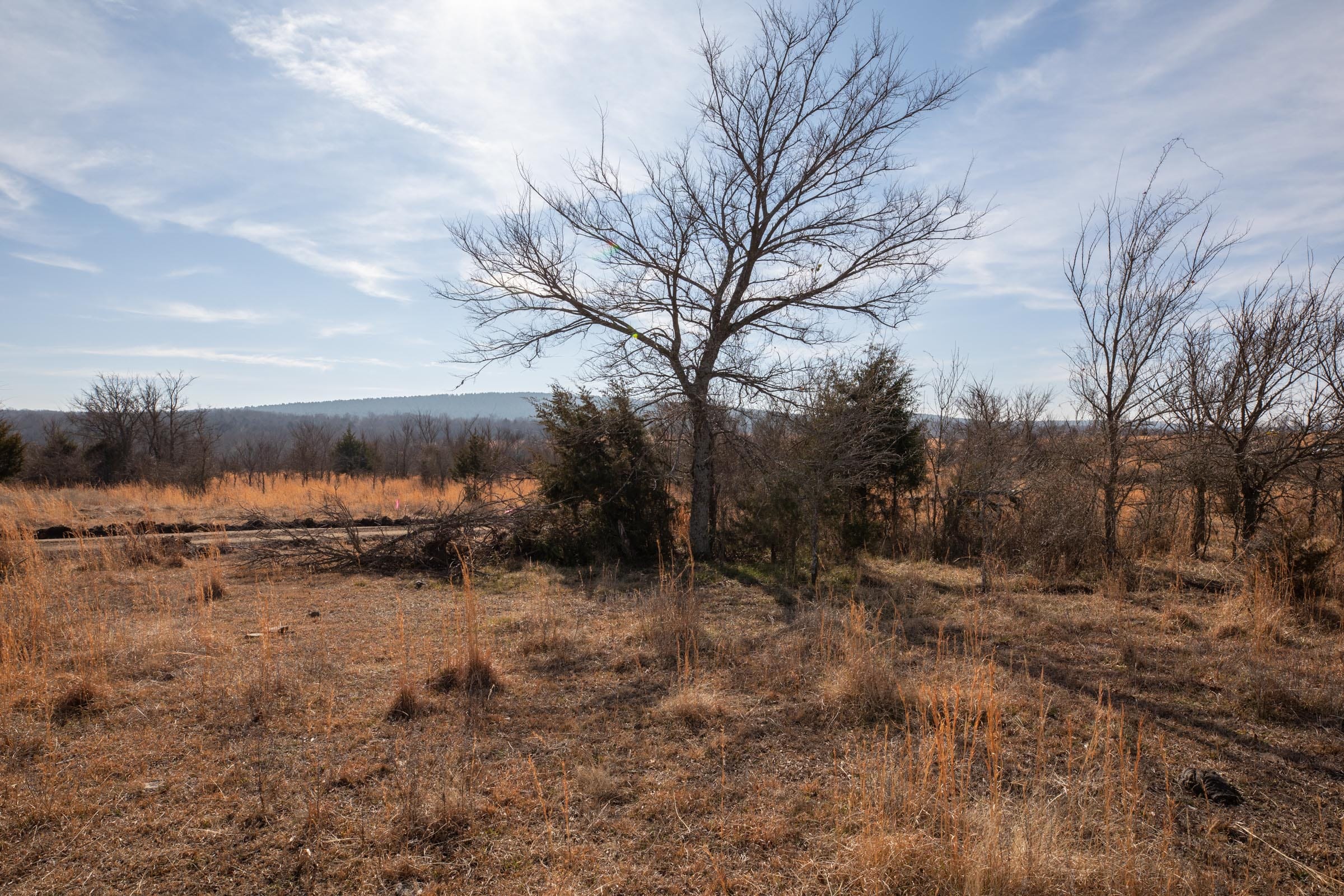 Painted Horse Tract 32 photo 7