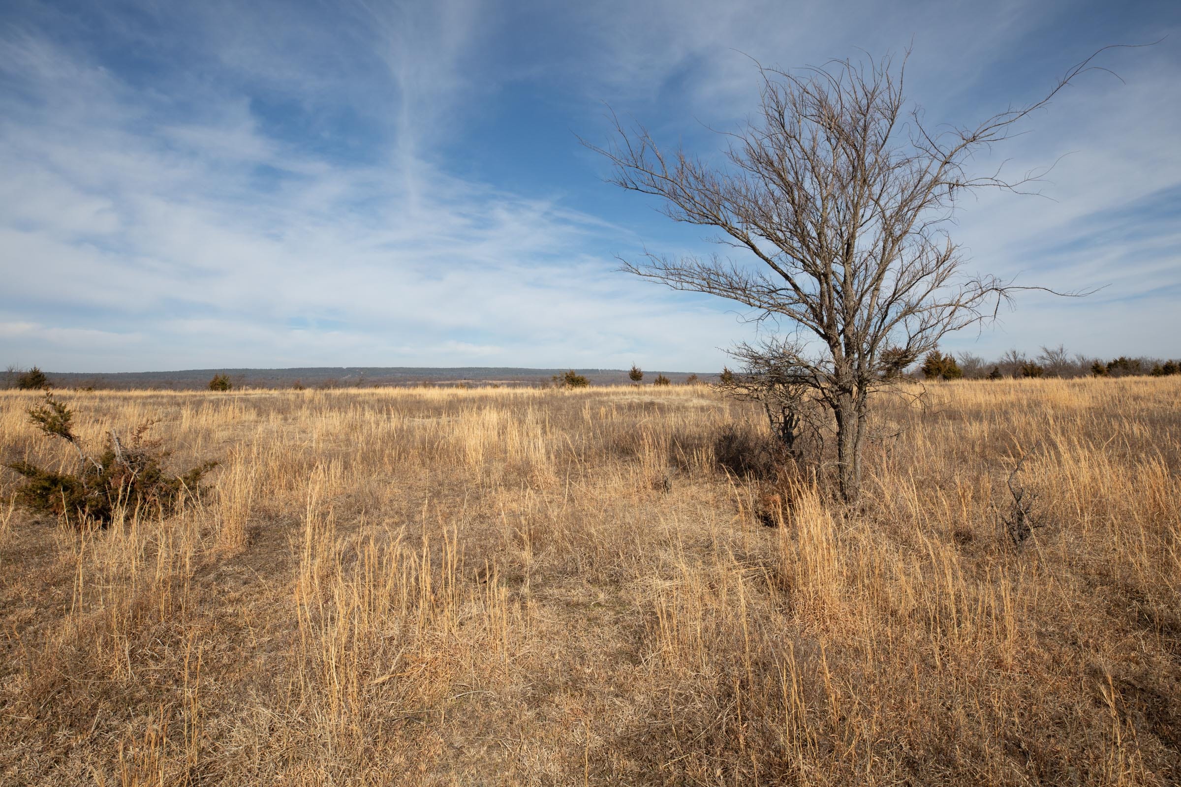 Painted Horse Tract 32 photo 8