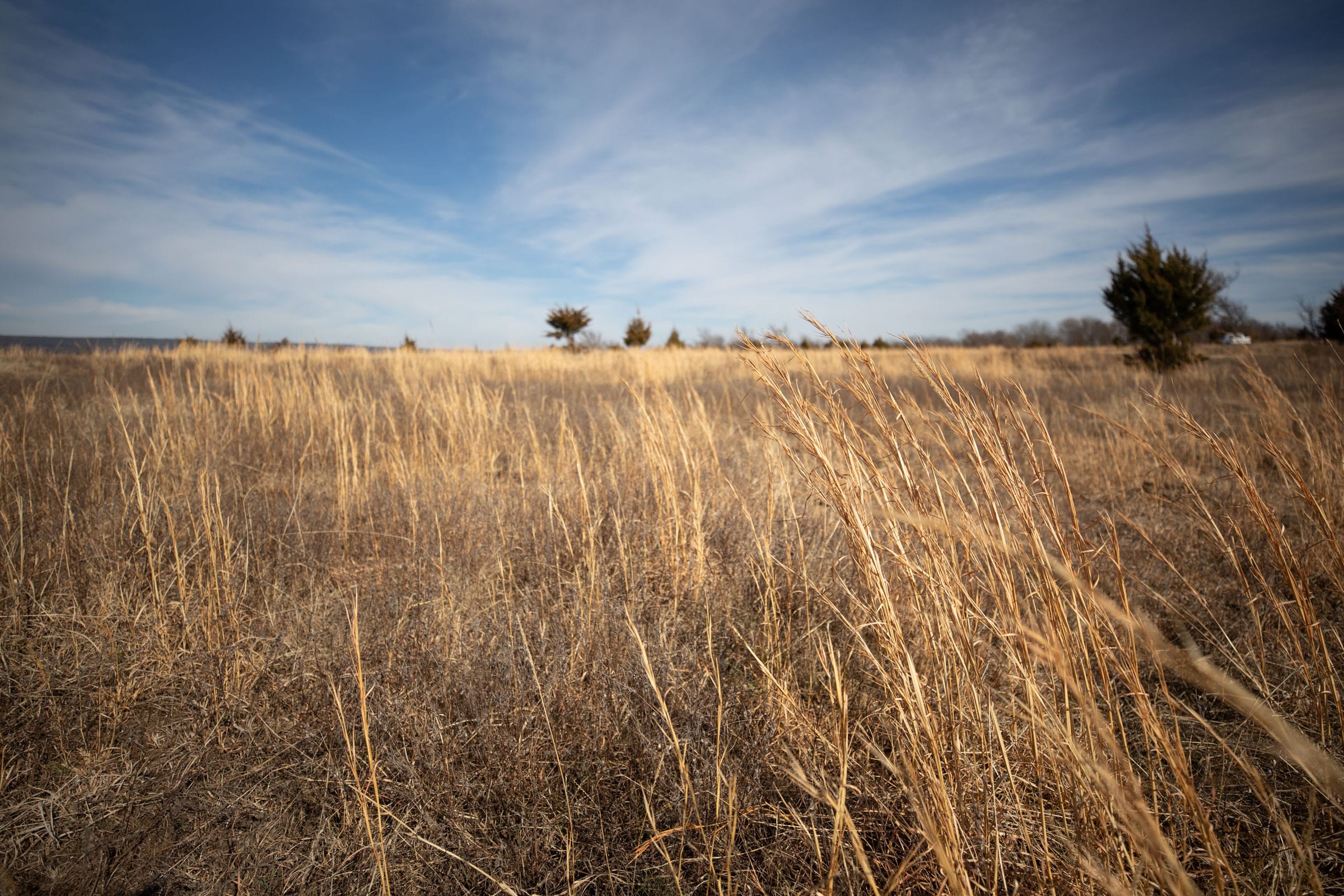 Painted Horse Tract 32 photo 9