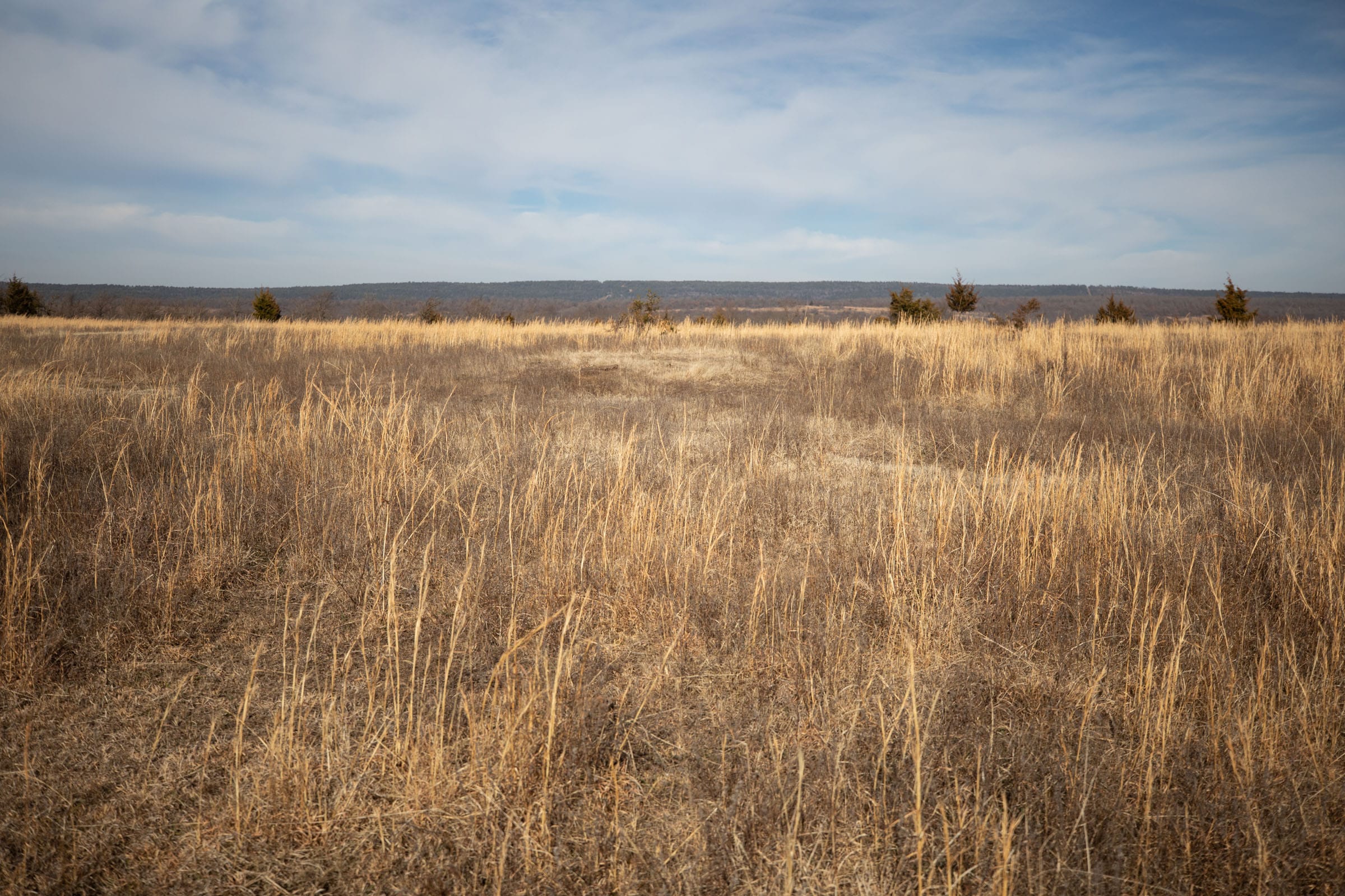 Painted Horse Tract 32 photo 10