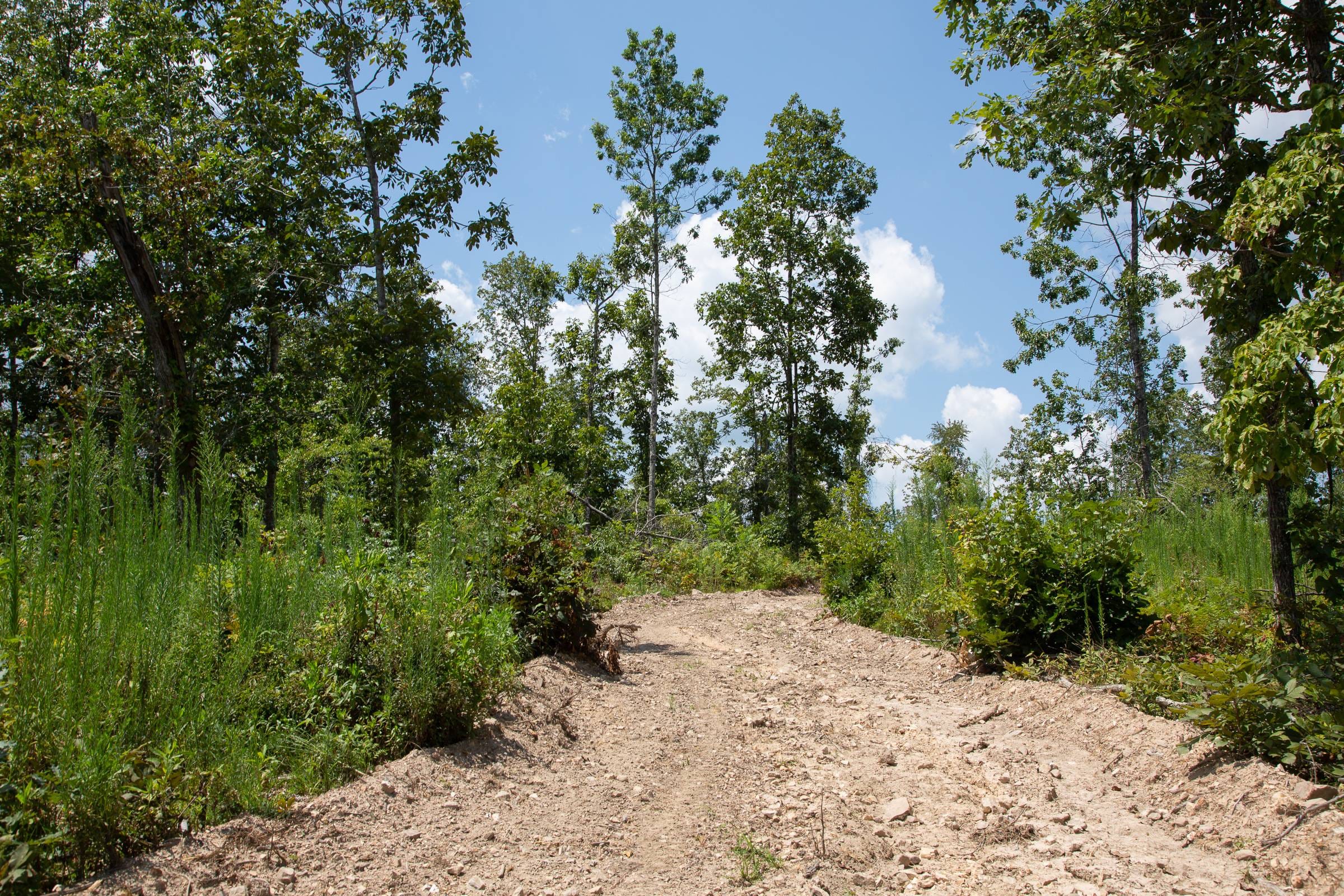 Borgmann’s Hollow Phase I Tract 15 photo 1