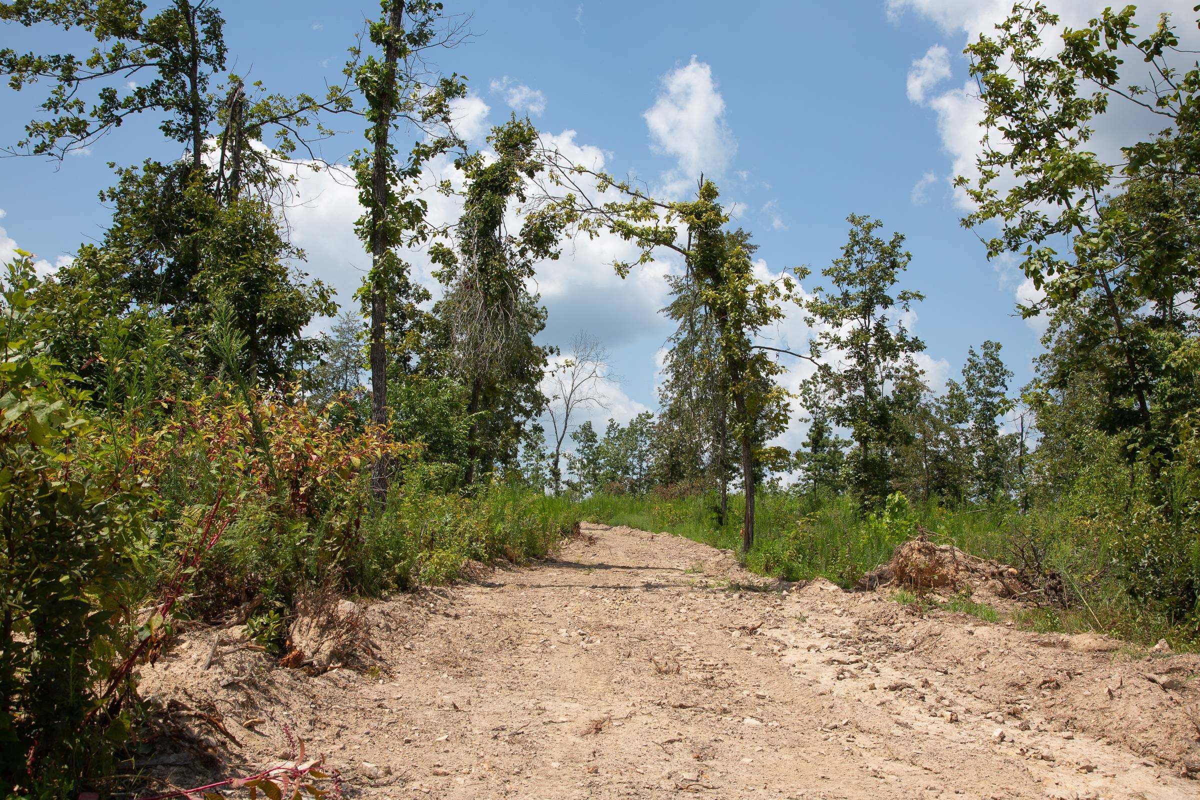 Borgmann’s Hollow Phase I Tract 15 photo 7