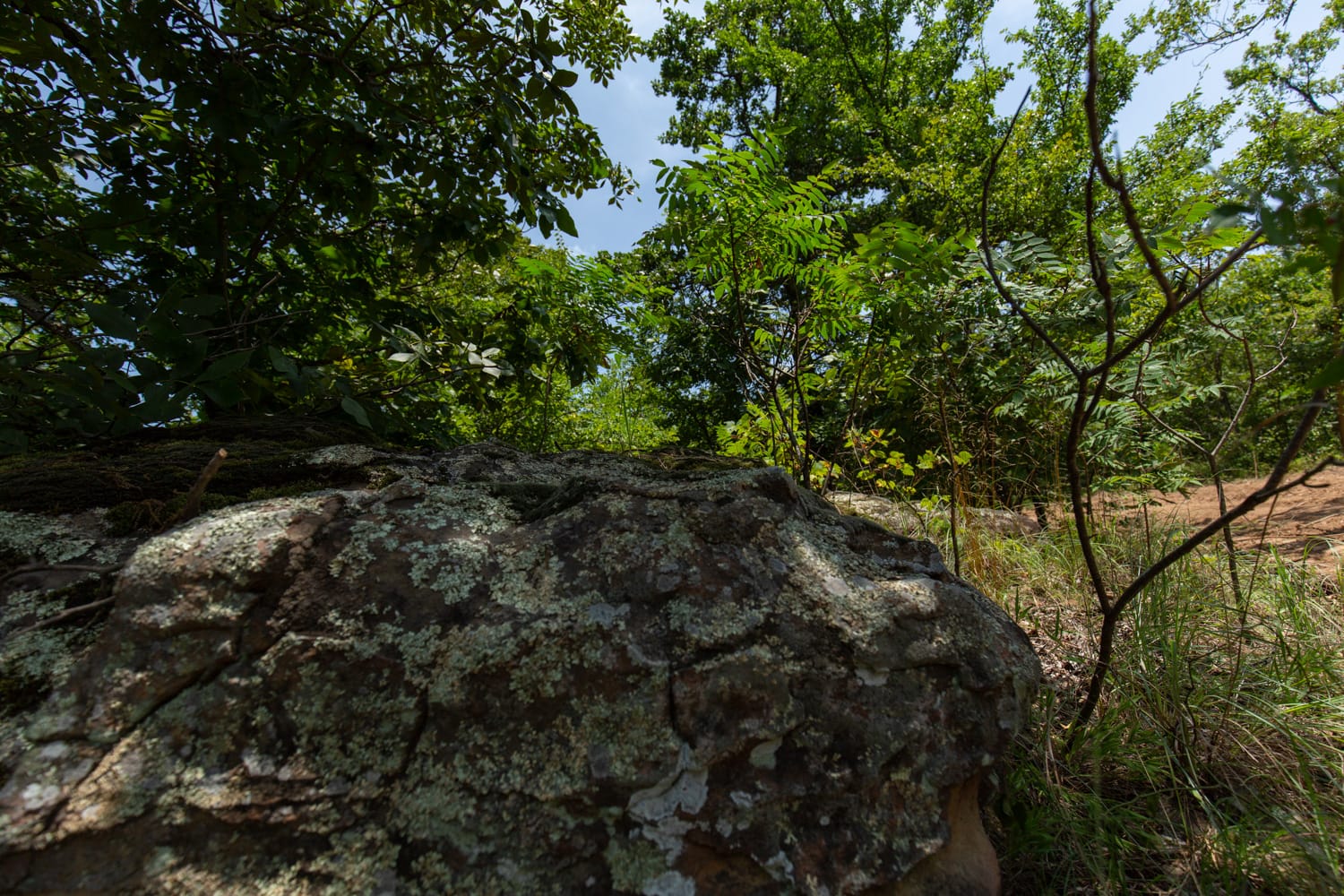 Timber Ridge Tract 50 photo 3