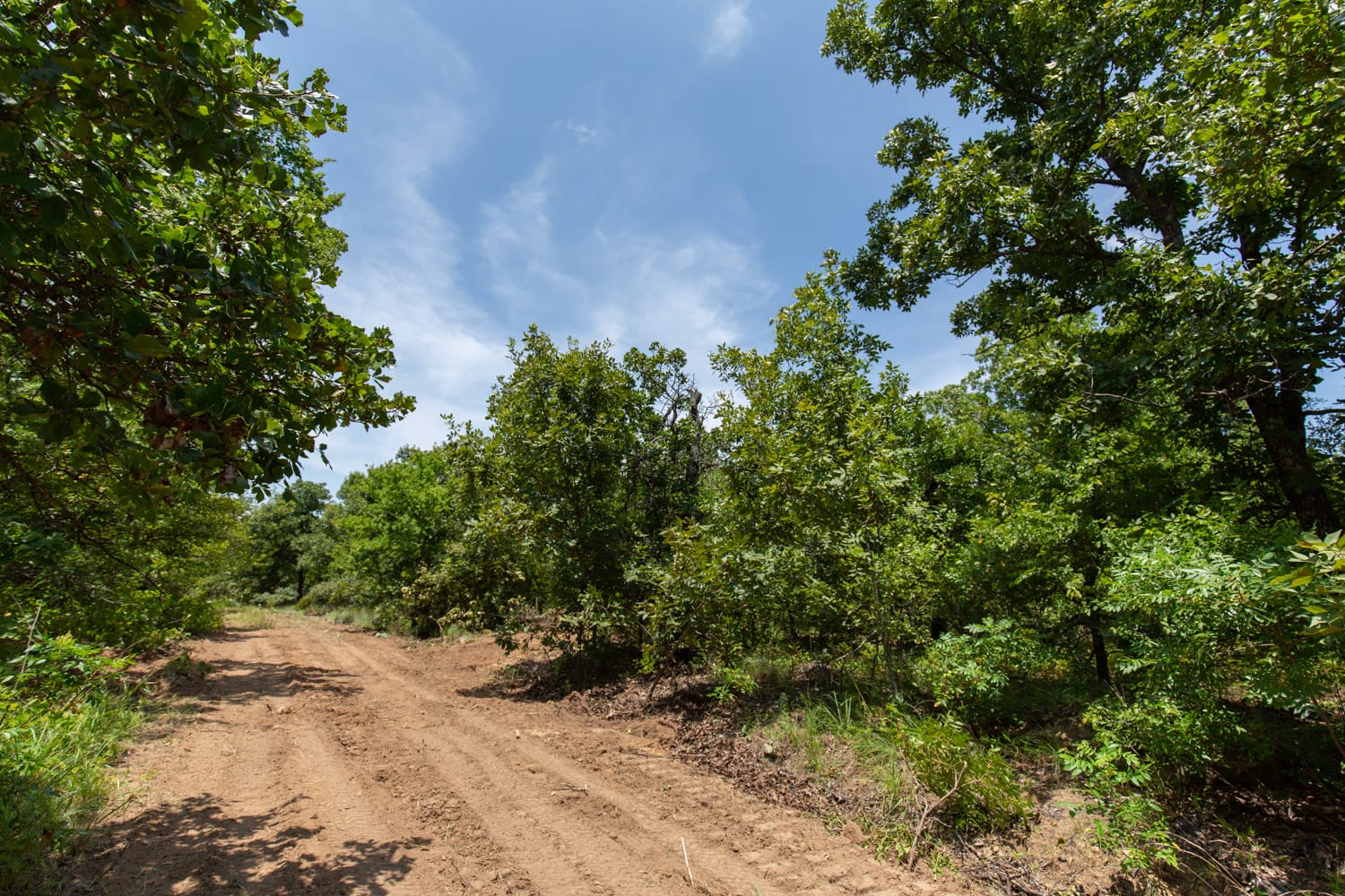 Timber Ridge Tract 50 photo 1