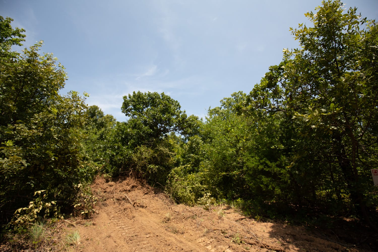 Timber Ridge Tract 50 photo 4