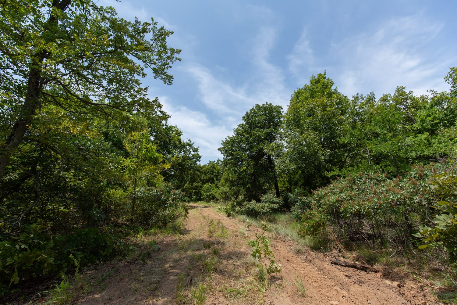 Timber Ridge Tract 50 photo 7