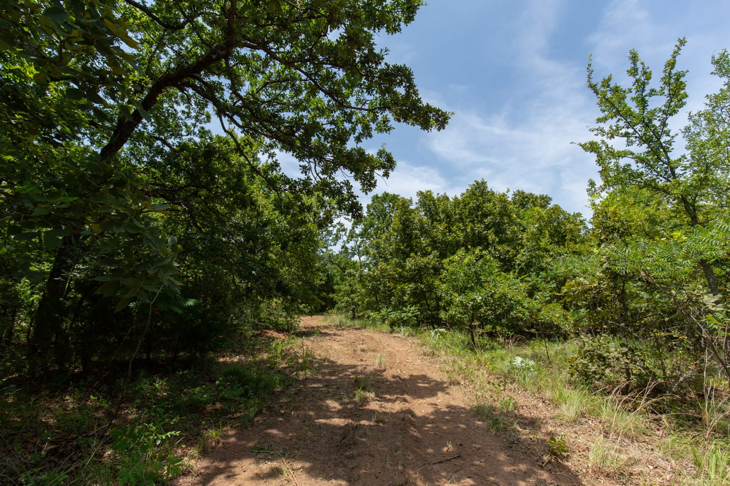 Timber Ridge Tract 50 photo 10