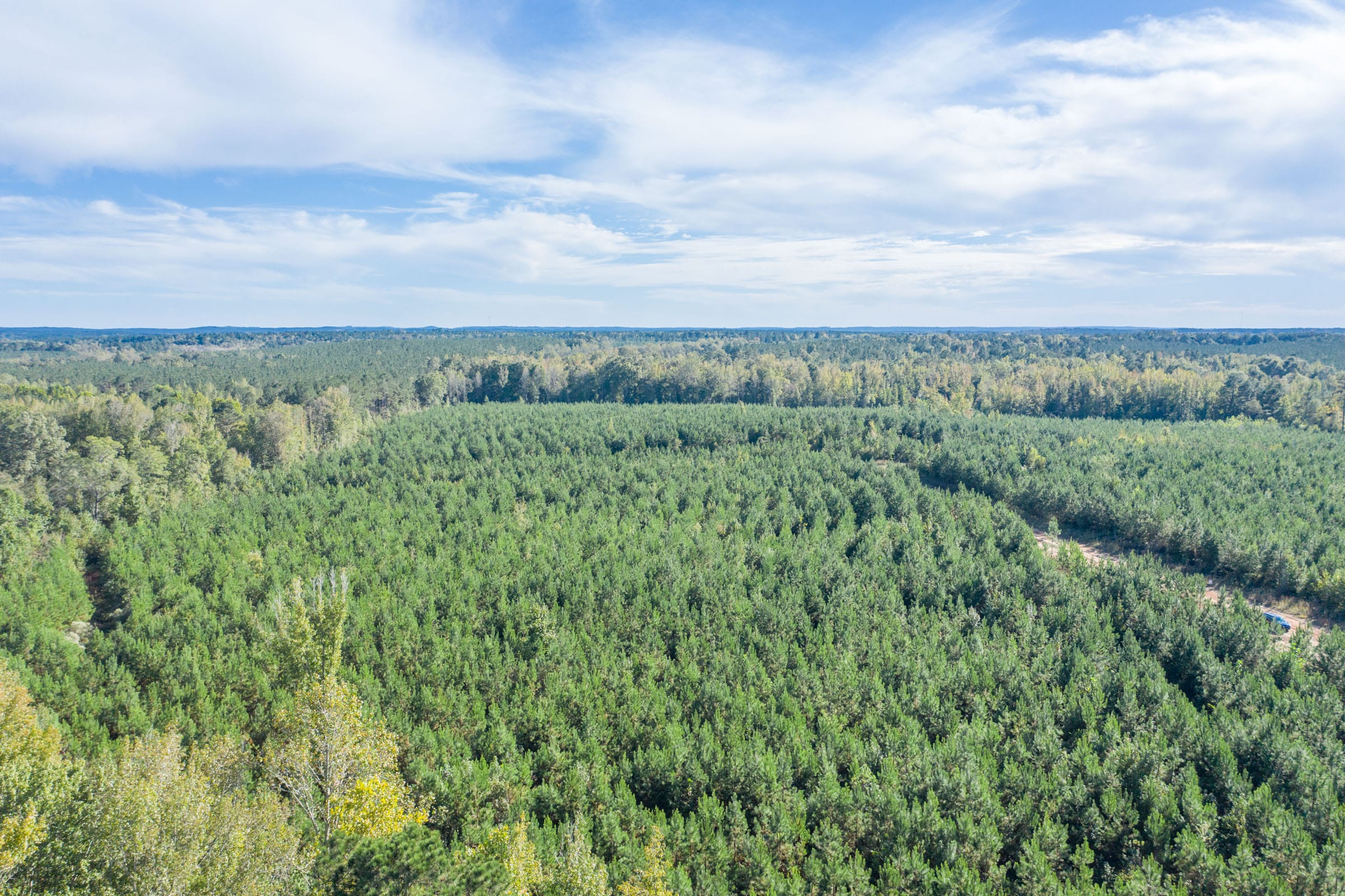 Brentwood Tract 12 photo 9