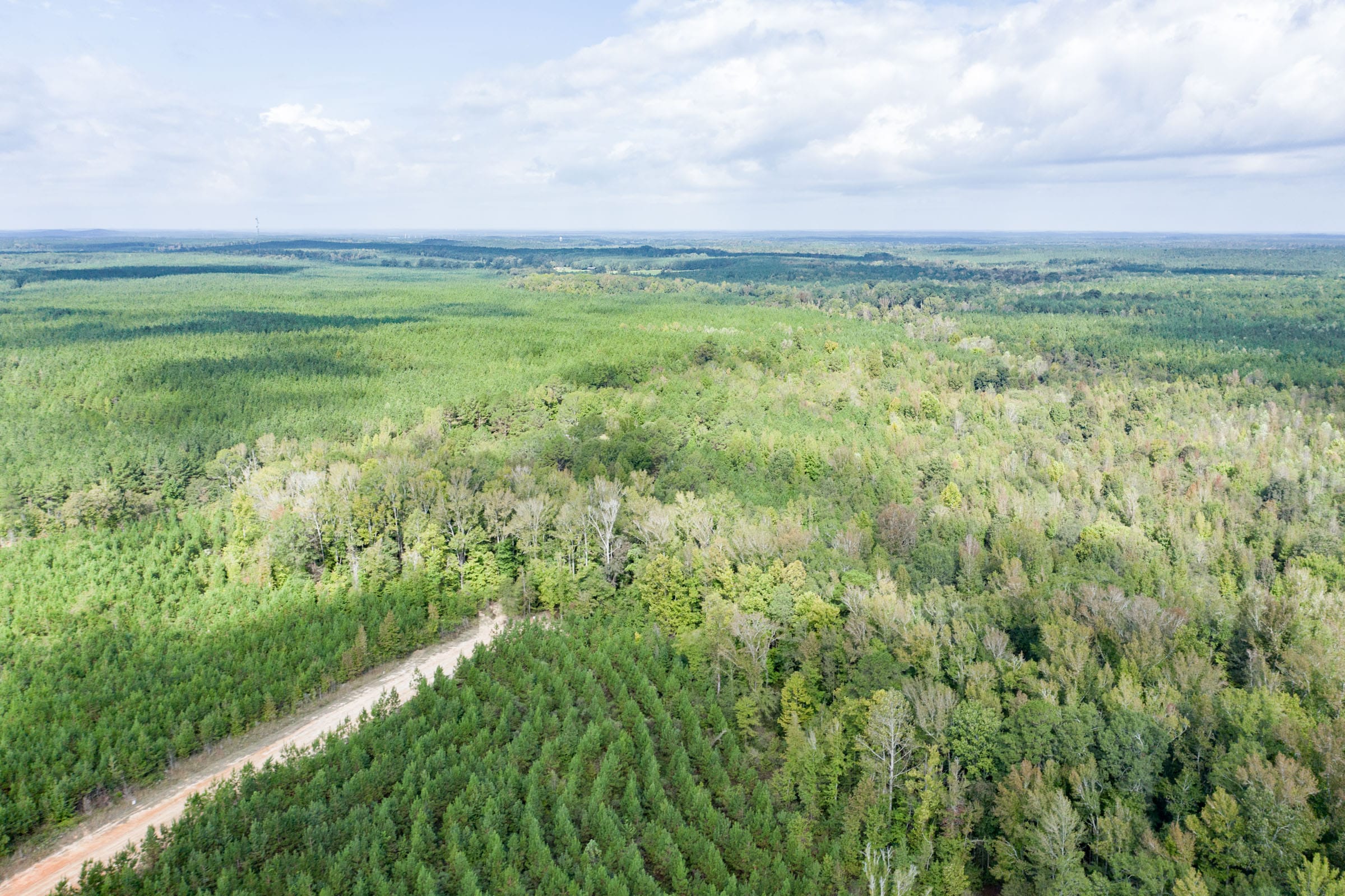 Brentwood Tract 12 photo 8