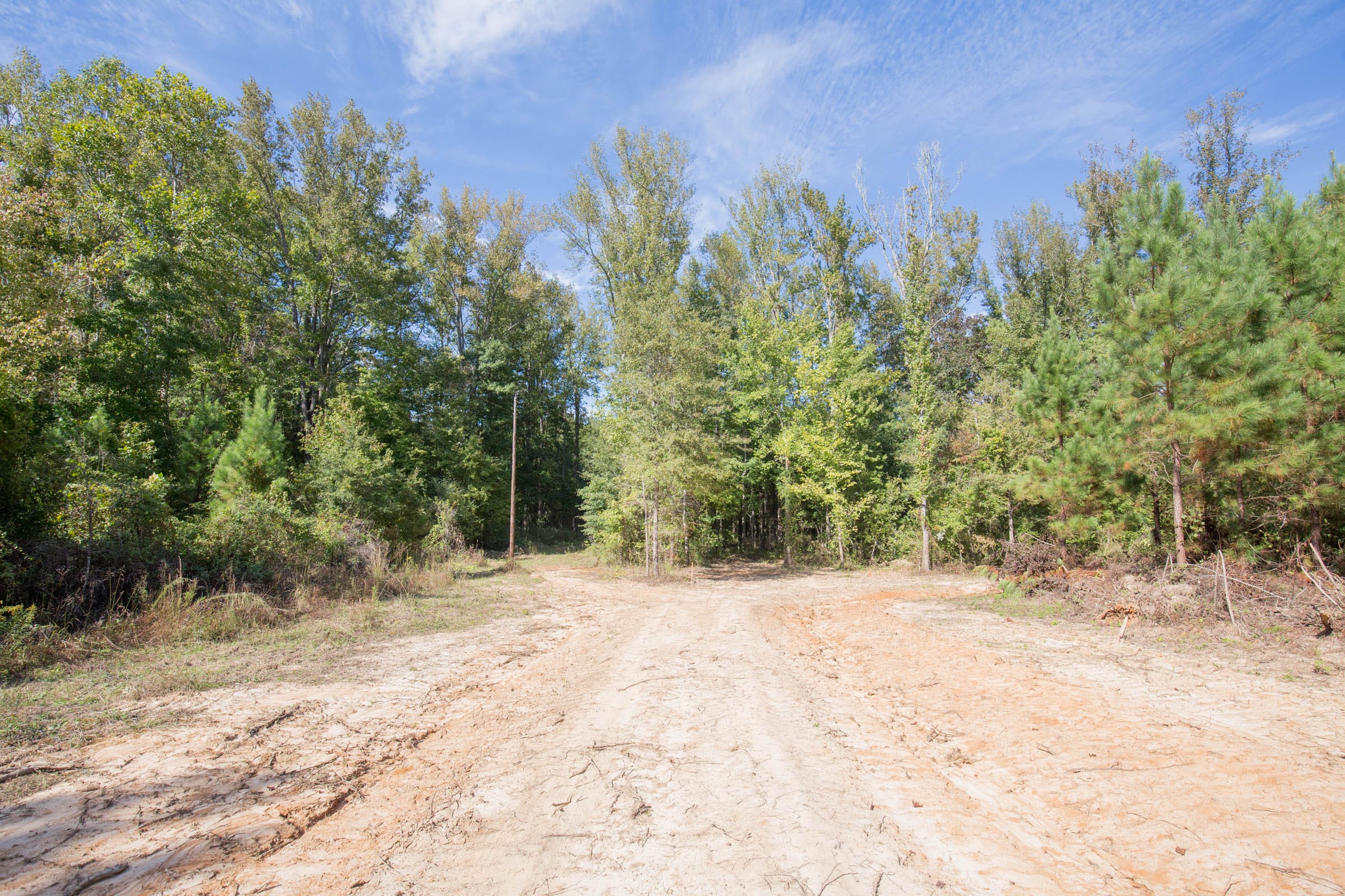 Brentwood Tract 12 photo 4