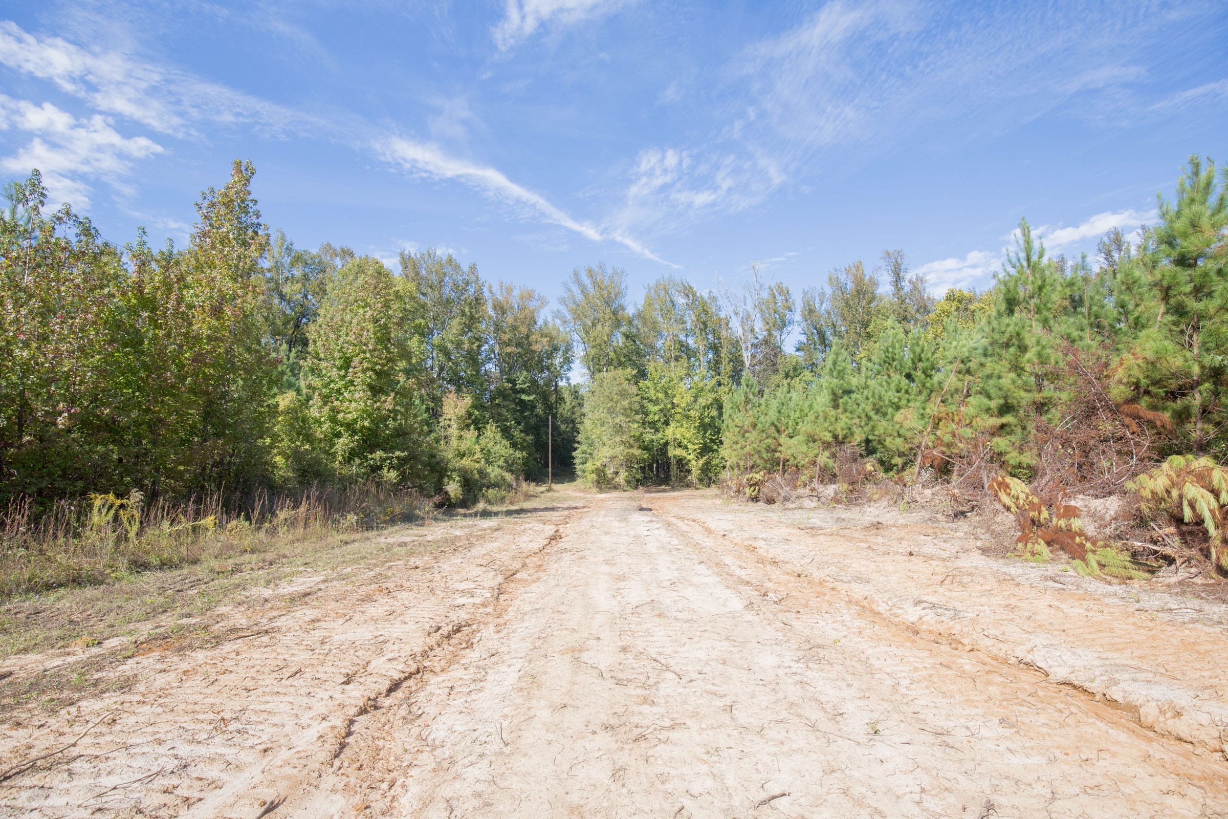 Brentwood Tract 12 photo 7