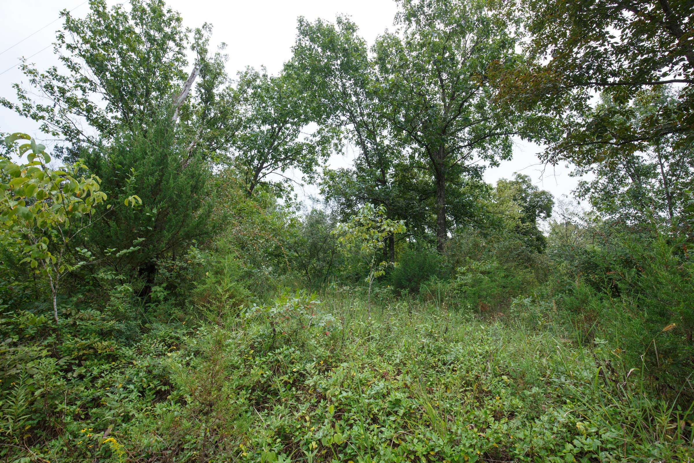Spring Lake Plat 5 Tract 171 photo 3