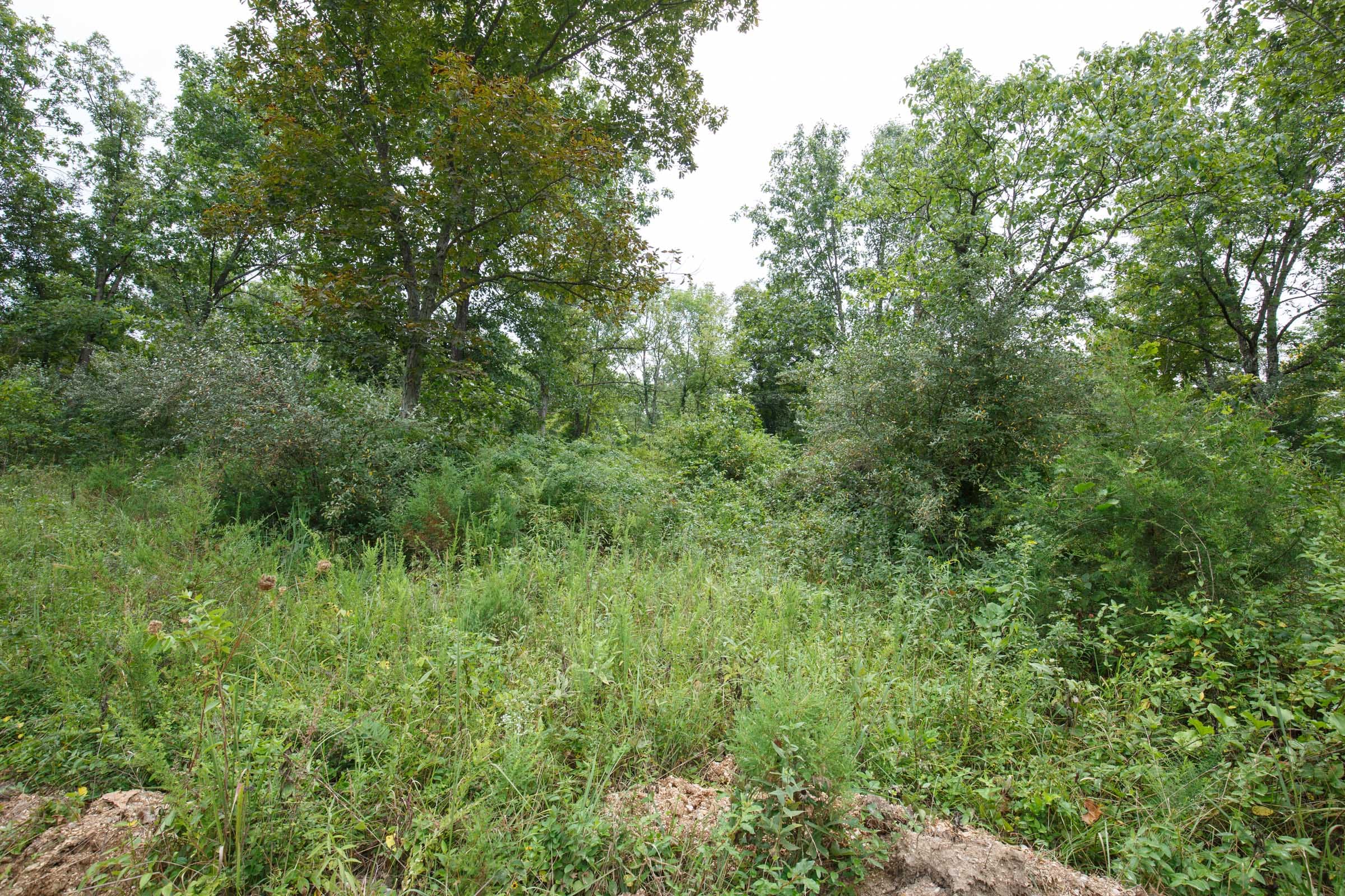 Spring Lake Plat 5 Tract 171 photo 5