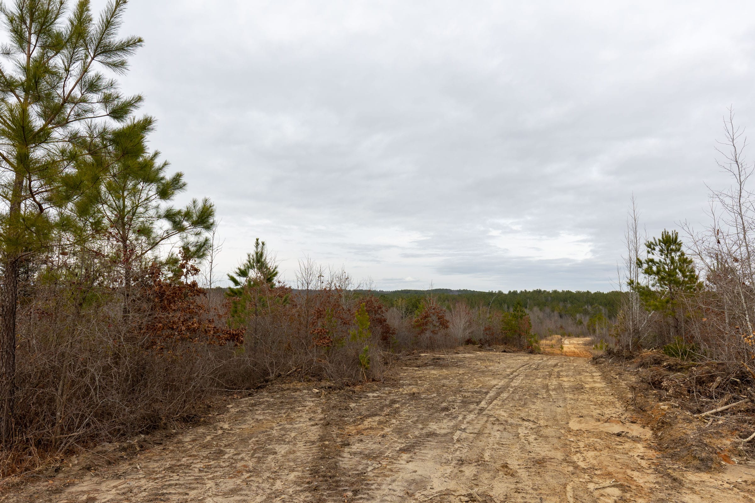 Baker Creek Tract 13 photo 9