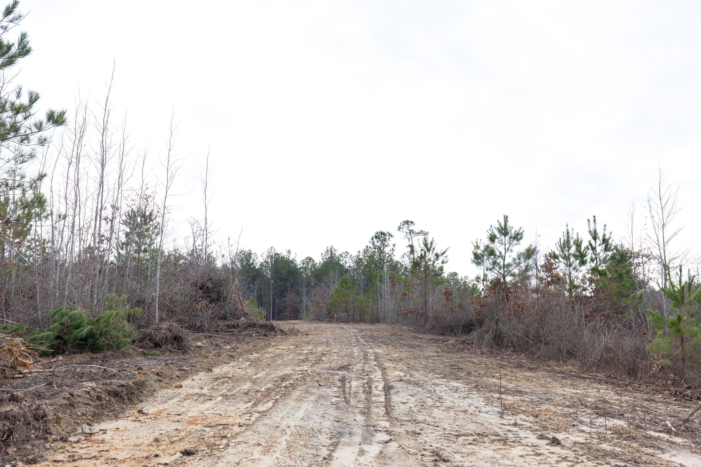 Baker Creek Tract 13 photo 8