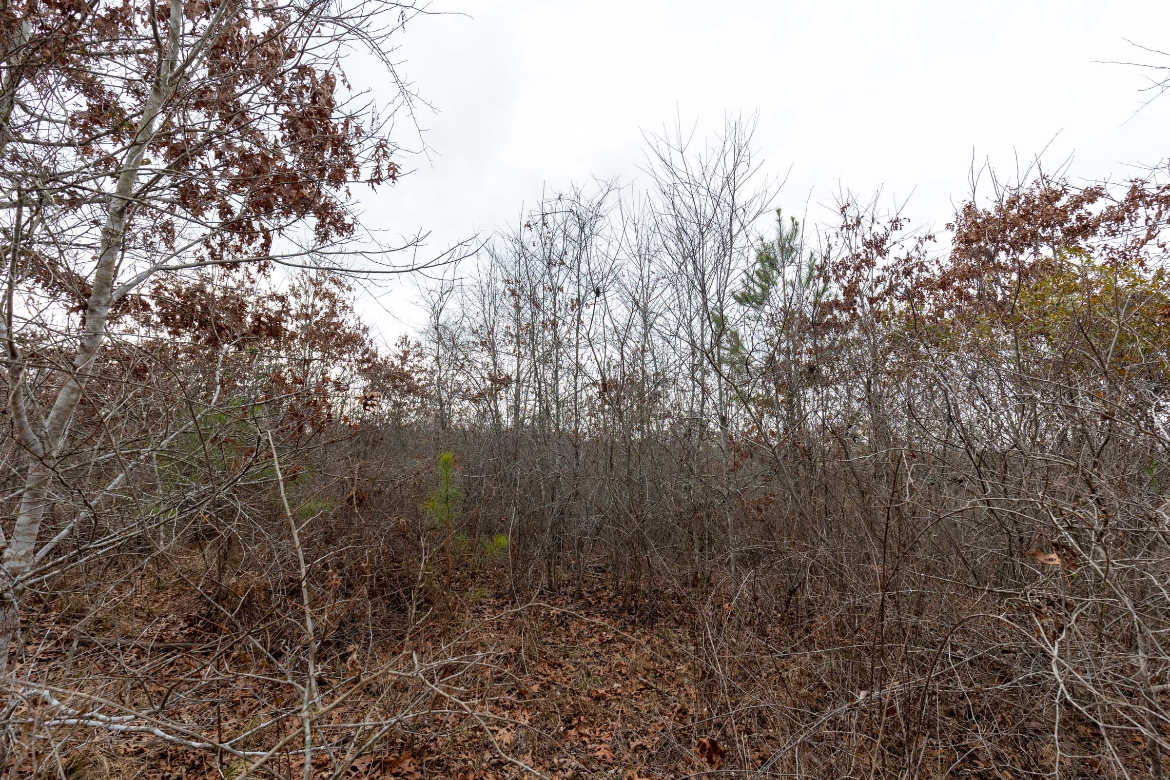 Baker Creek Tract 13 photo 5