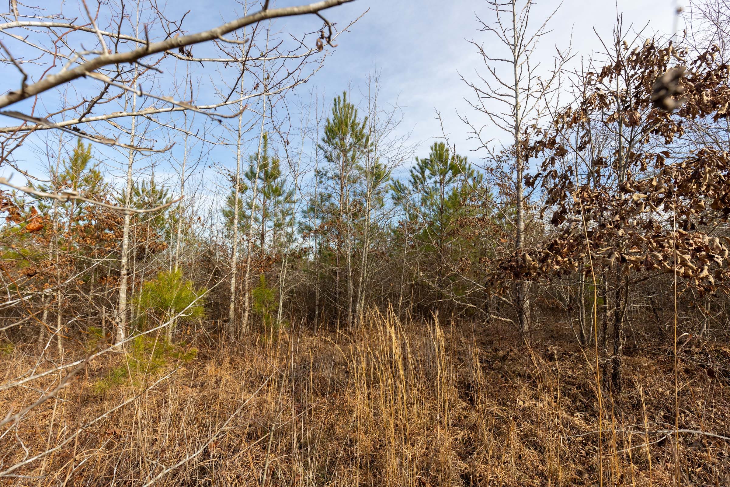 Baker Creek Tract 13 photo 1