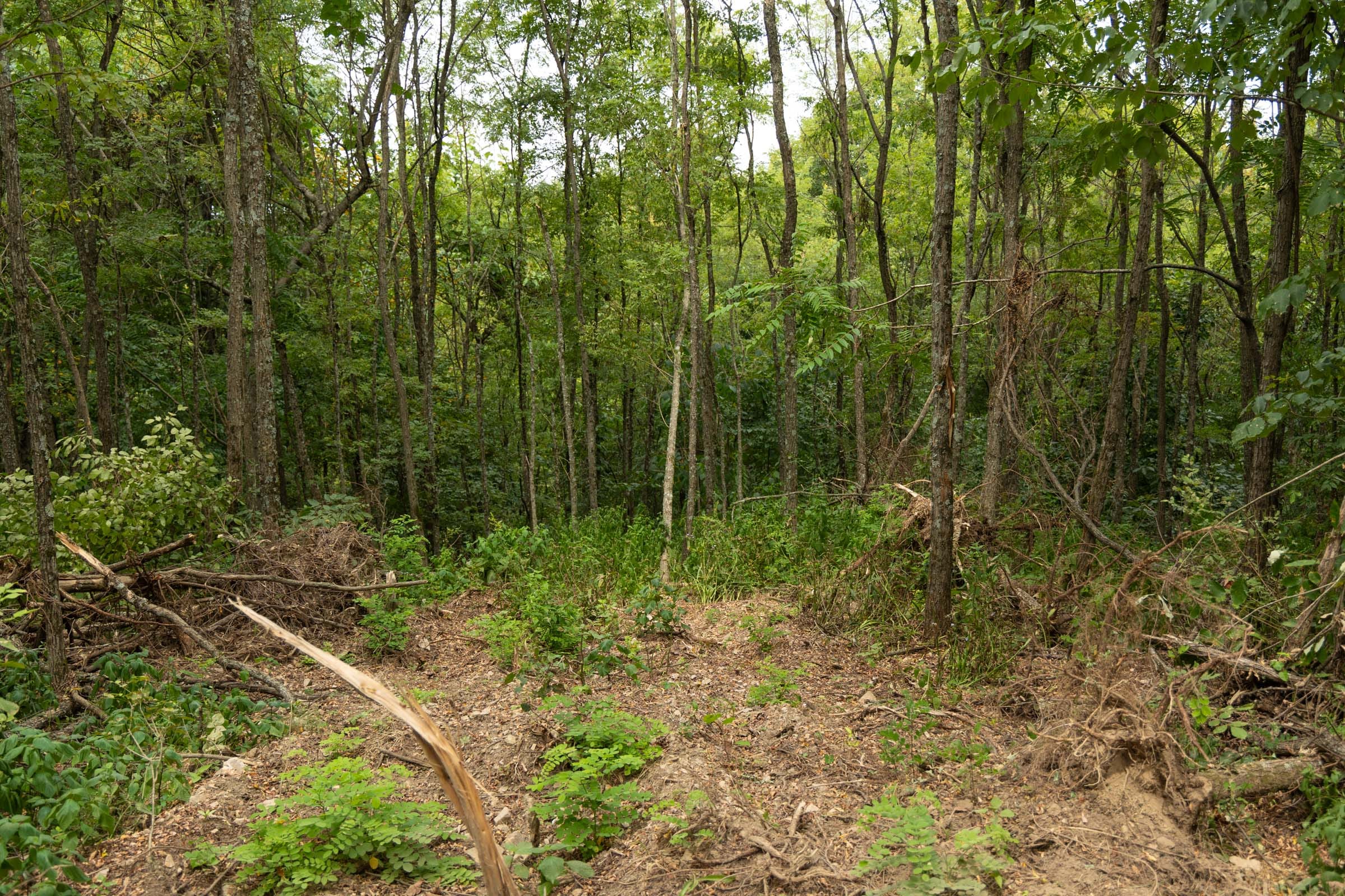 Big White Oak Tract 135 photo 22