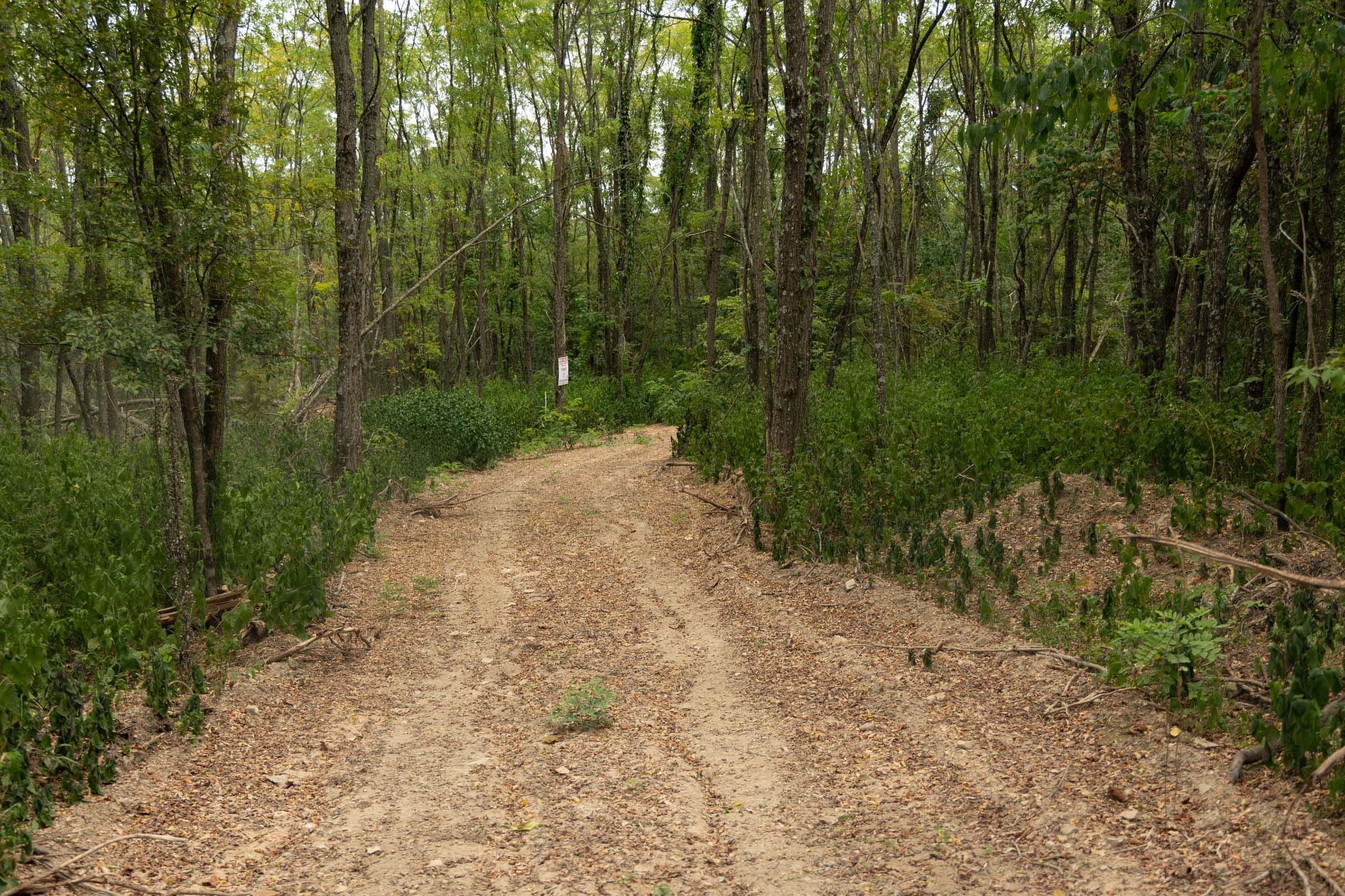 Big White Oak Tract 135 photo 17