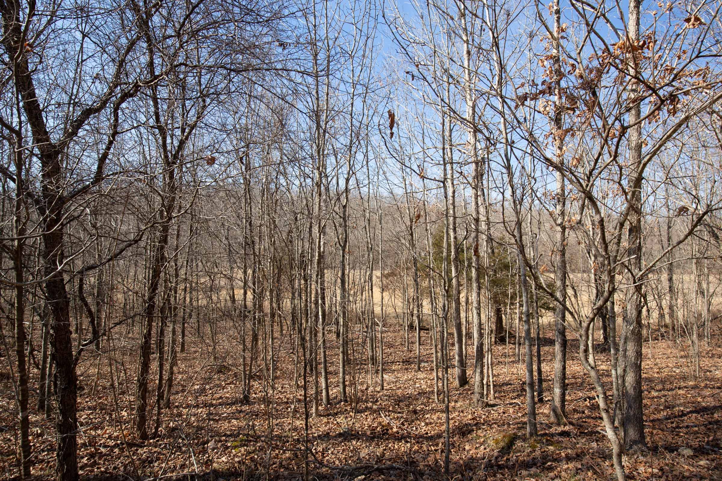 O’Connor Crossing Tract 25 photo 3