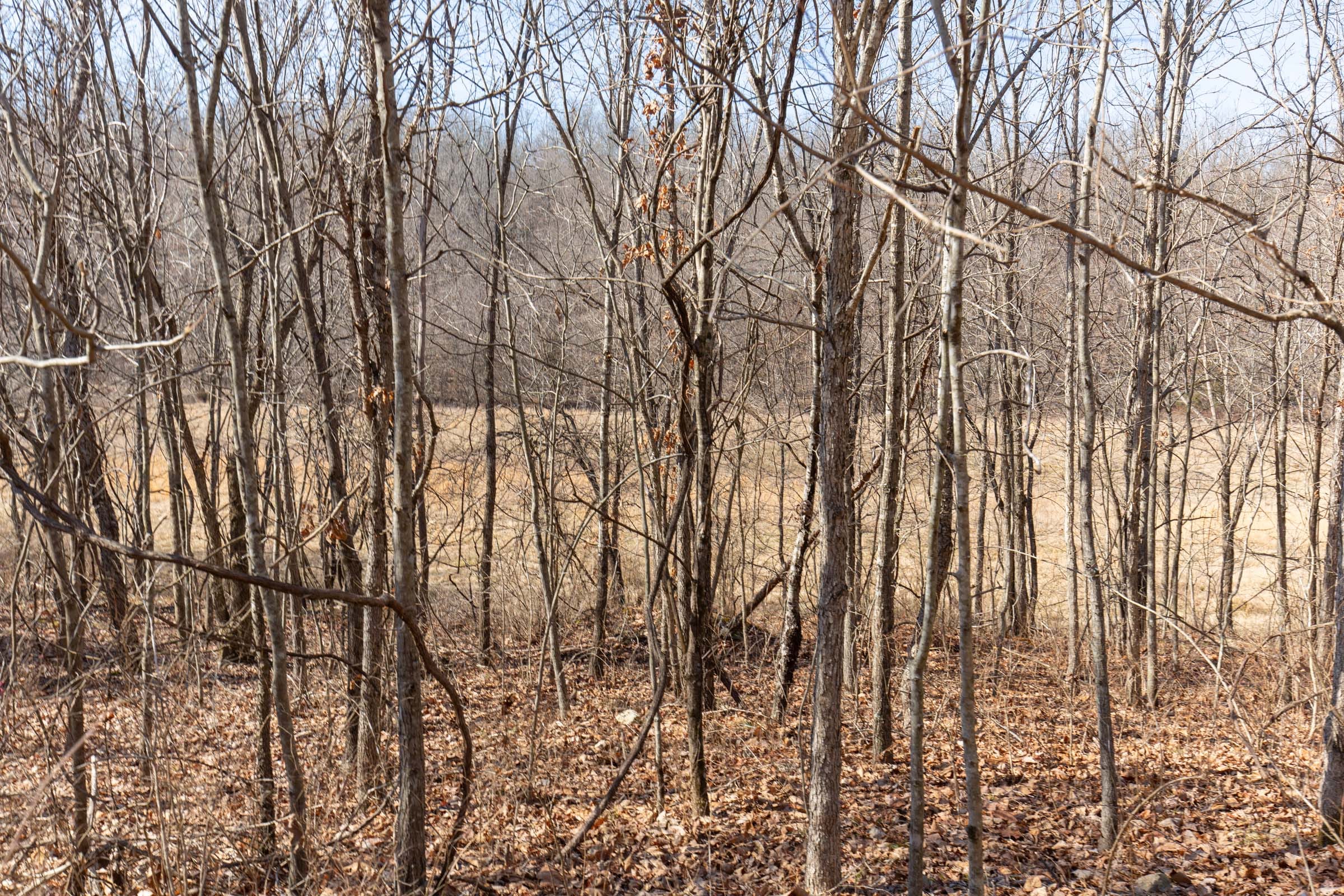 O’Connor Crossing Tract 25 photo 7