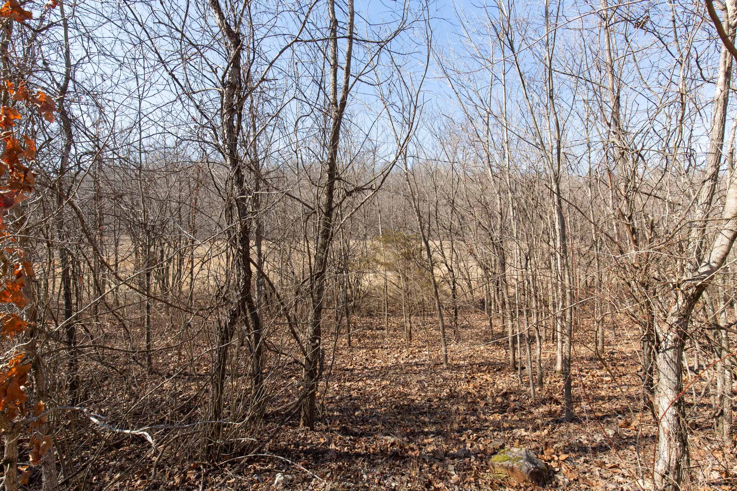 O’Connor Crossing Tract 25 photo 9