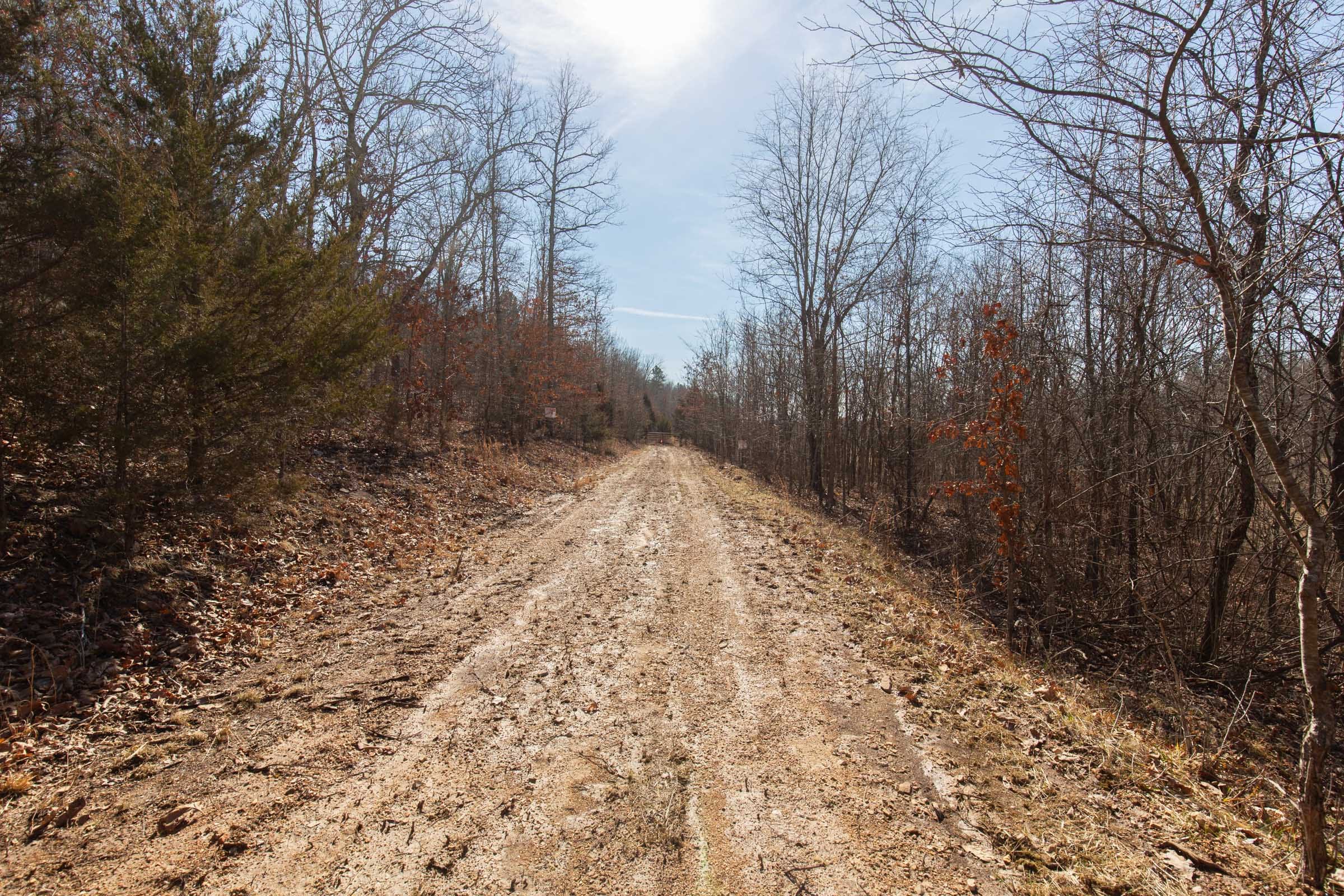 O’Connor Crossing Tract 25 photo 6